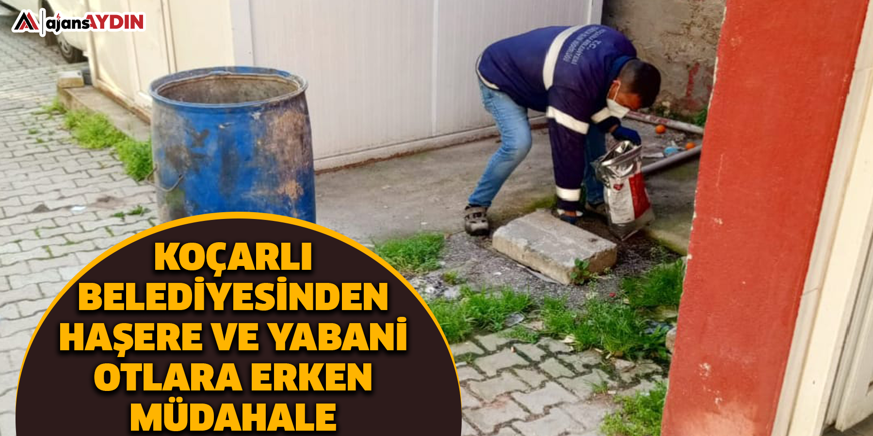 Koçarlı Belediyesinden Haşere ve Yabani Otlara erken müdahale