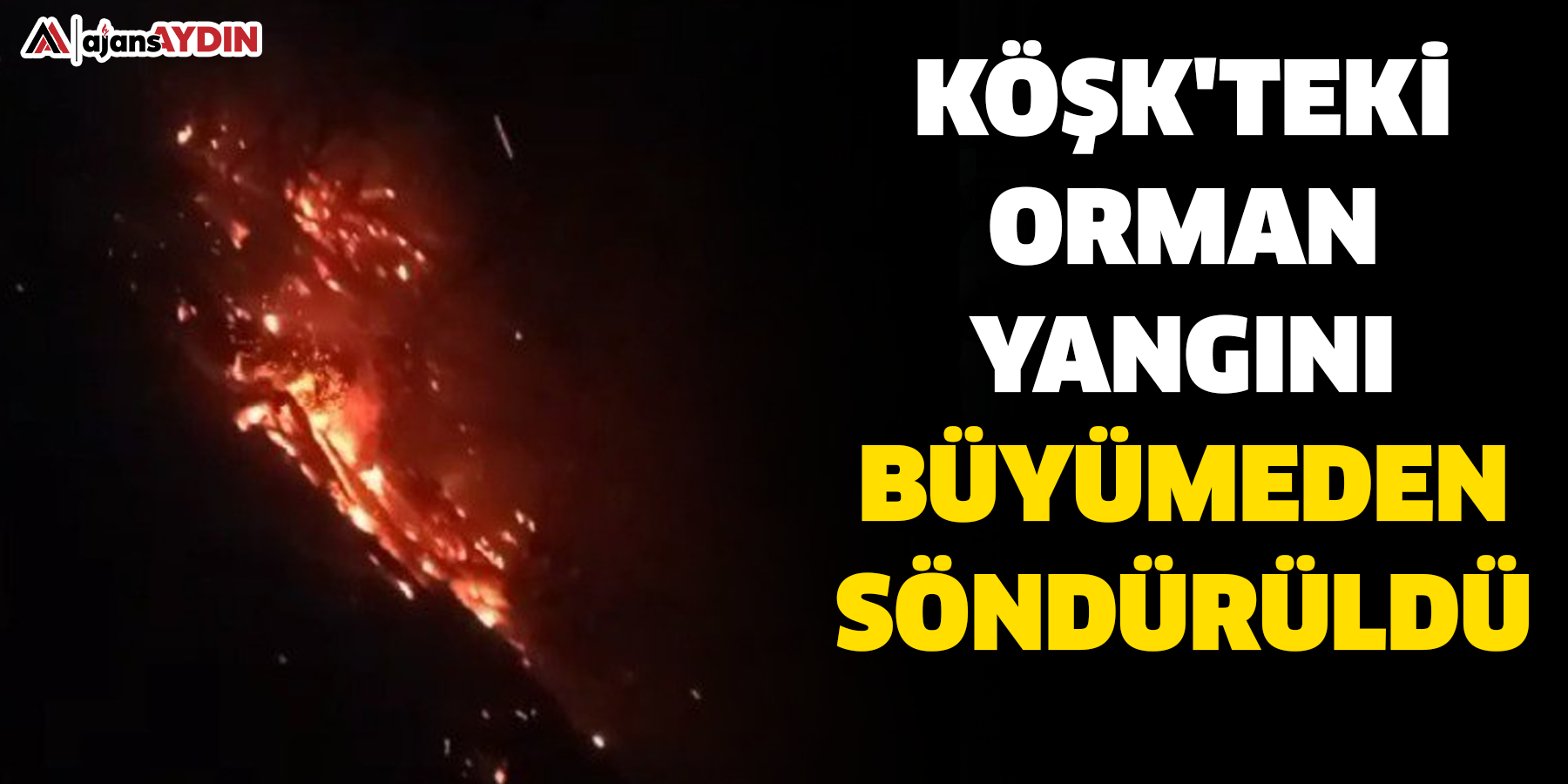 Köşk'teki orman yangını büyümeden söndürüldü