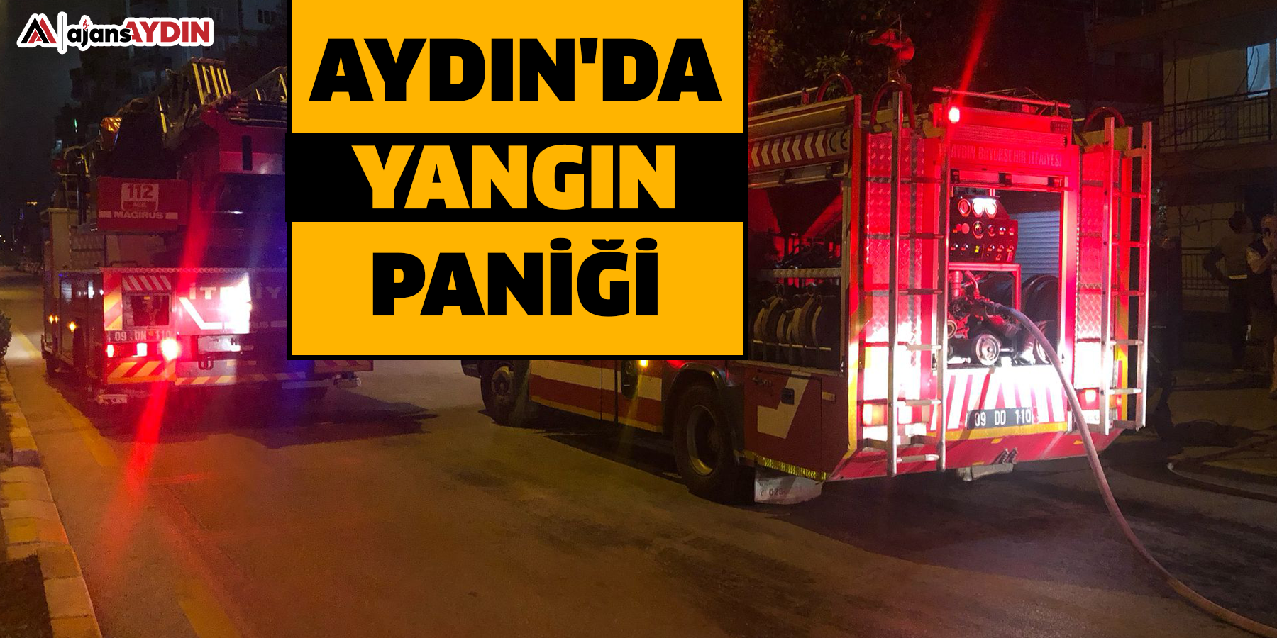 Aydın'da yangın paniği