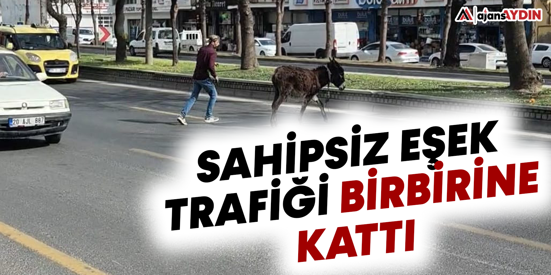 Sahipsiz eşek trafiği birbirine kattı