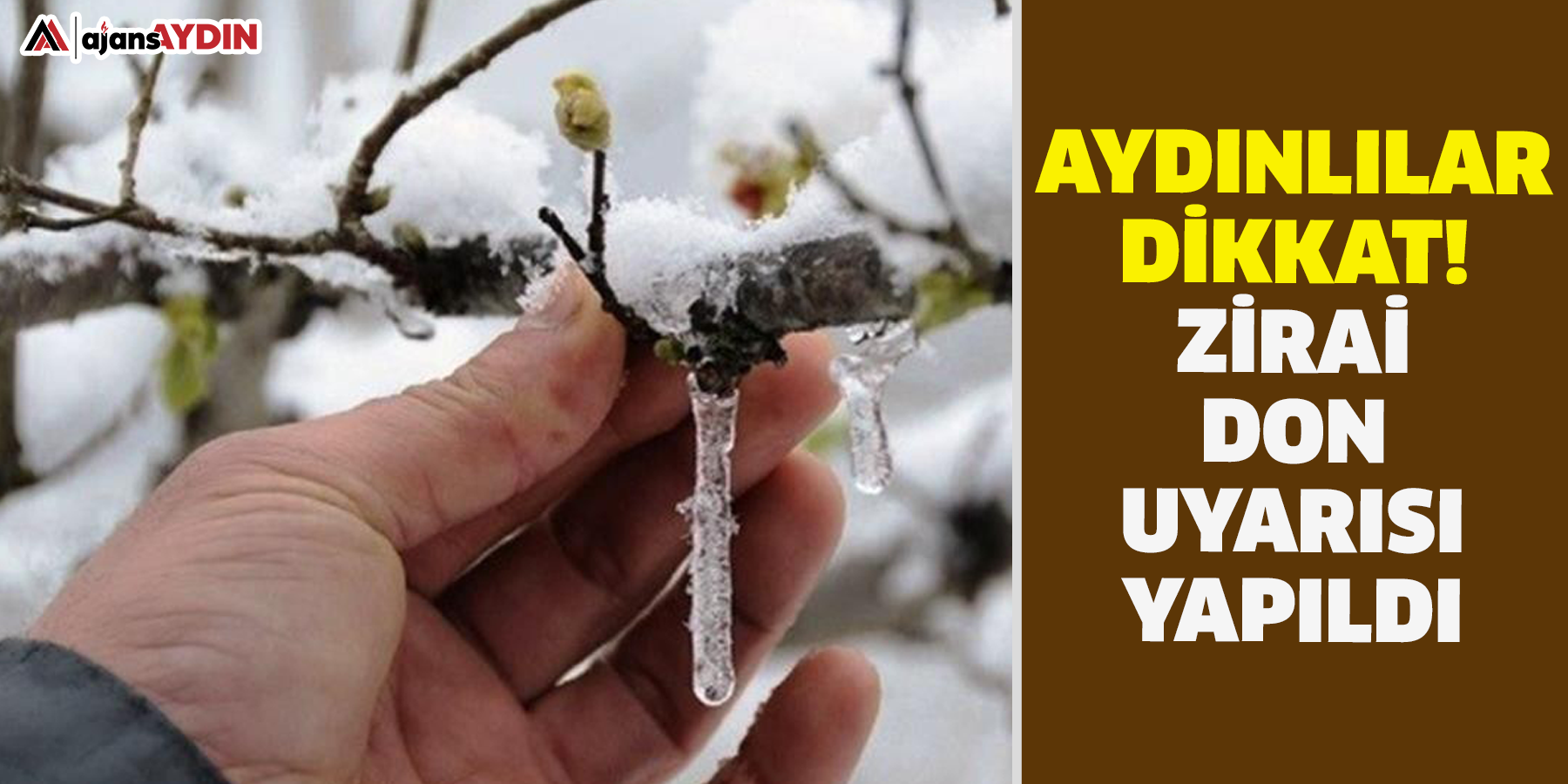 Aydınlılar dikkat!  Zirai don uyarısı yapıldı