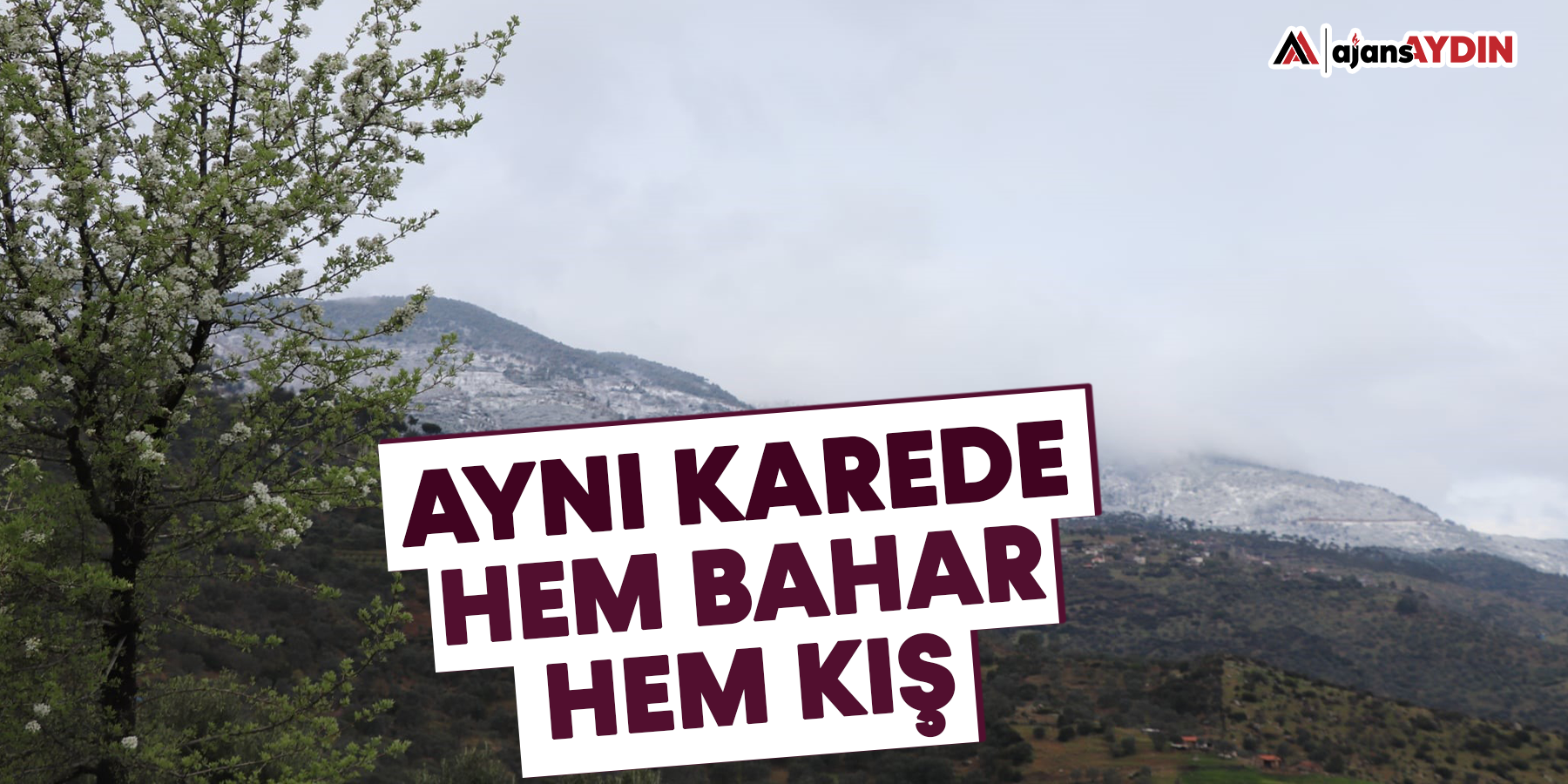 Aynı karede hem bahar hem kış