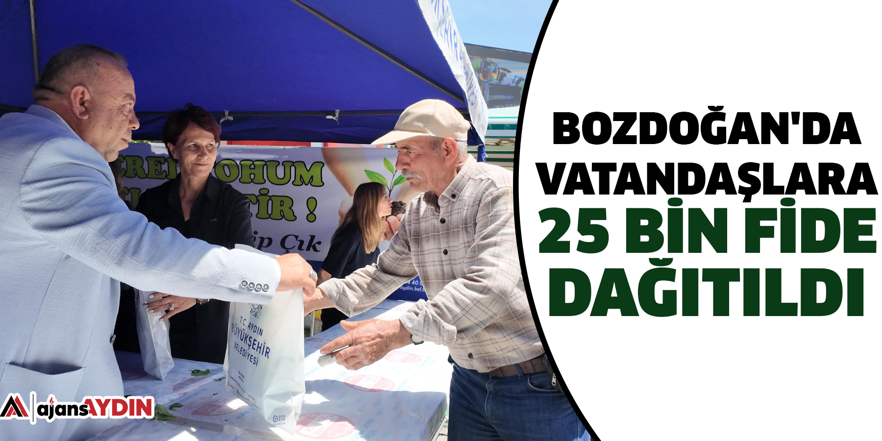 Bozdoğan'da vatandaşlara 25 bin fide dağıtıldı