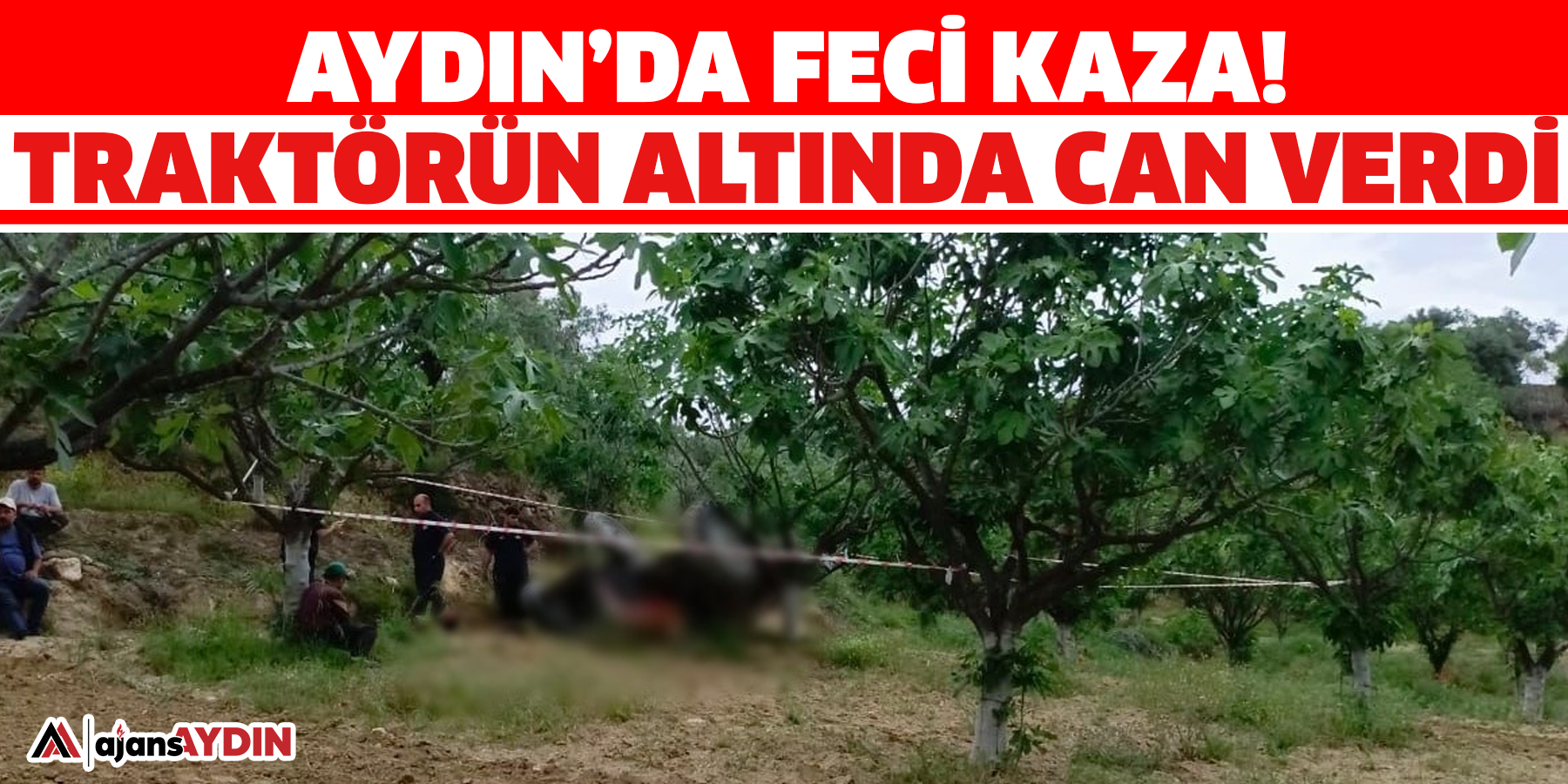 Aydın’da feci kaza!  Traktörün altında can verdi