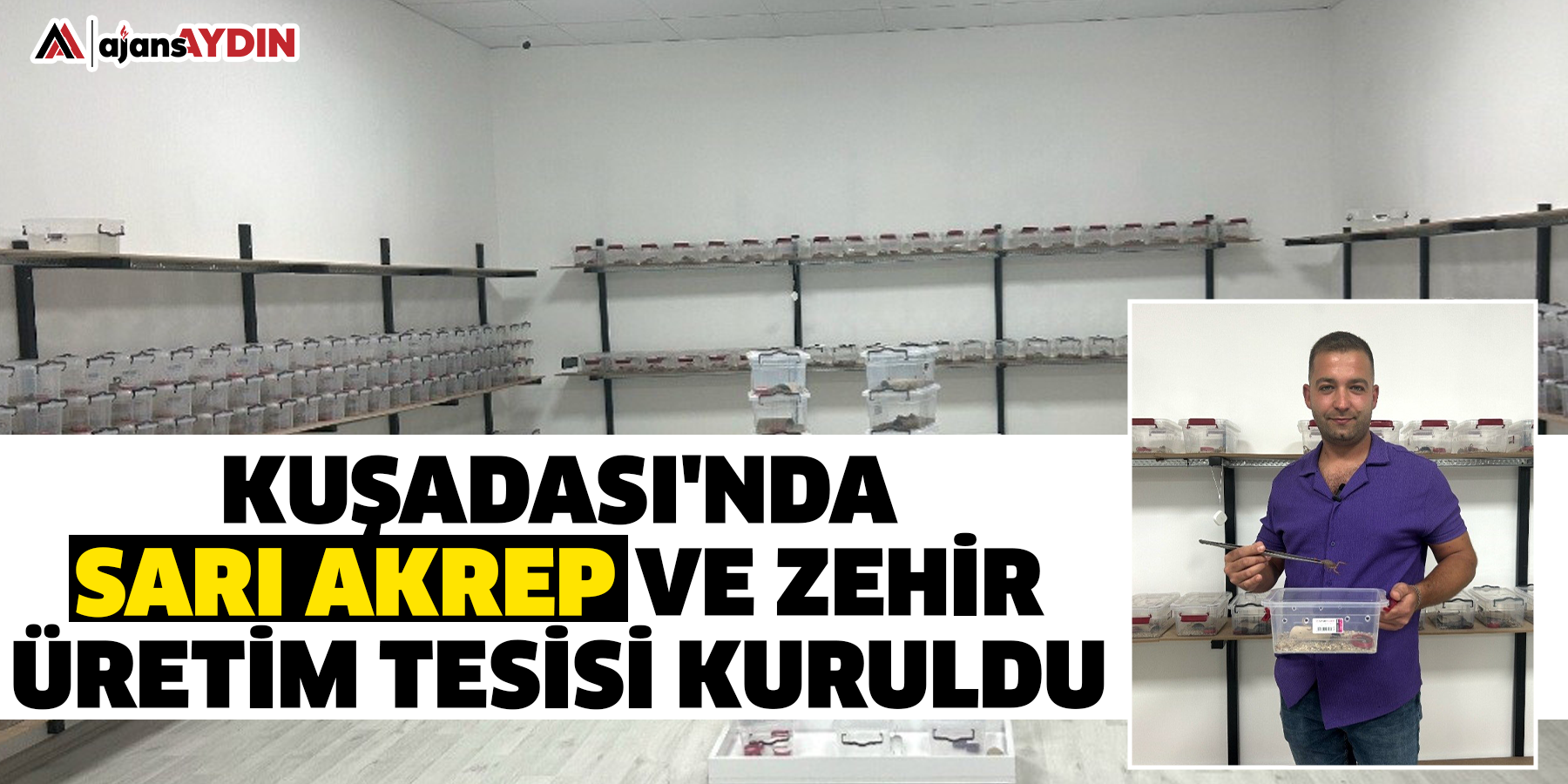Kuşadası'nda sarı akrep ve zehir üretim tesisi kuruldu