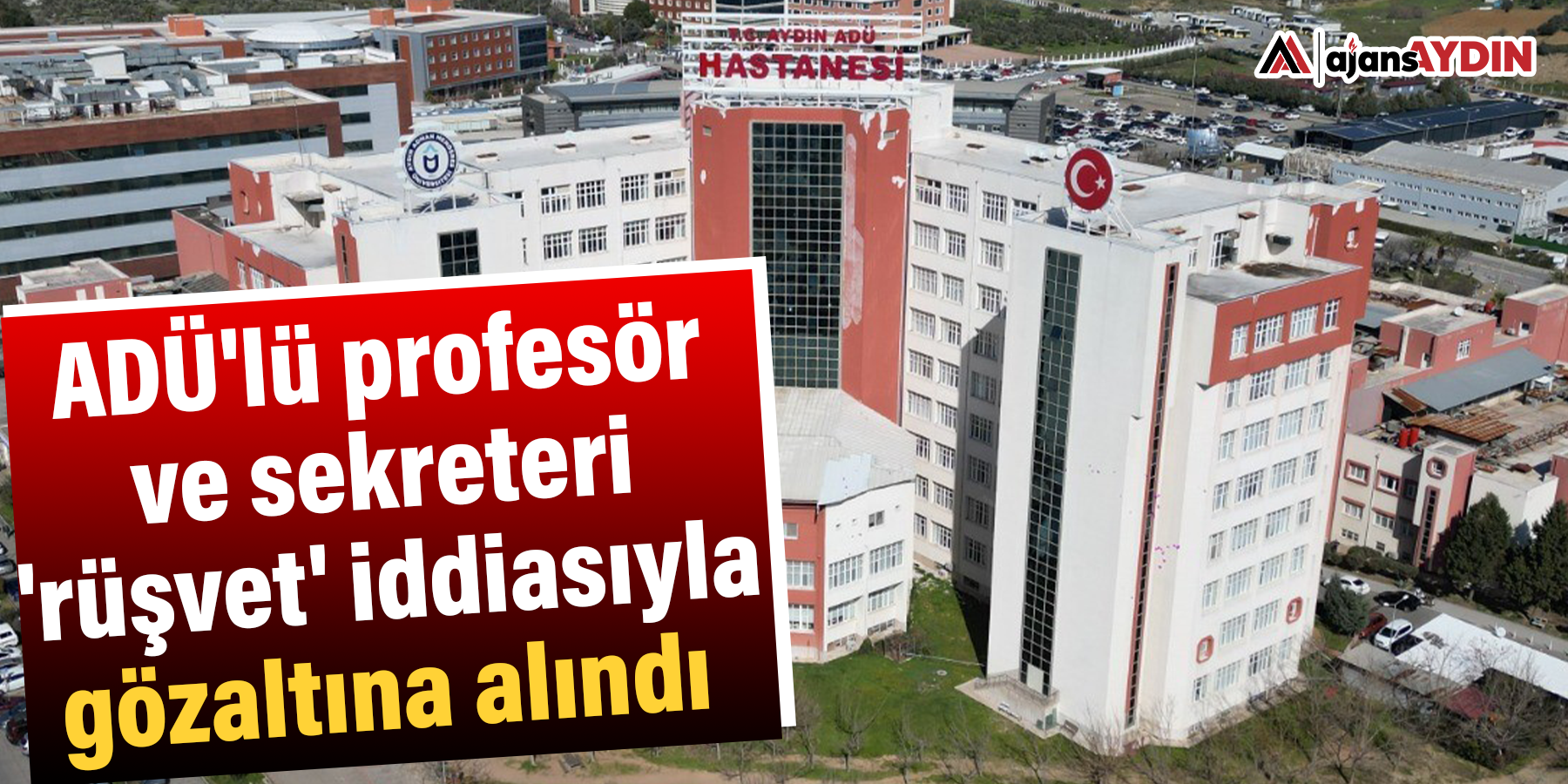 ADÜ'lü profesör ve sekreteri 'rüşvet' iddiasıyla gözaltına alındı