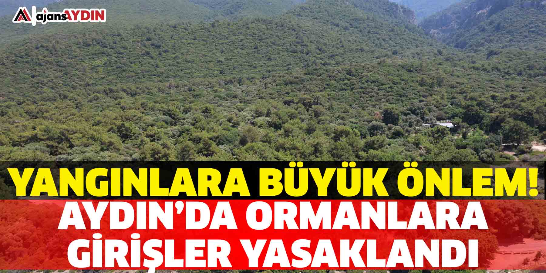 Yangınlara büyük önlem  Aydın’da ormanlara girişler yasaklandı