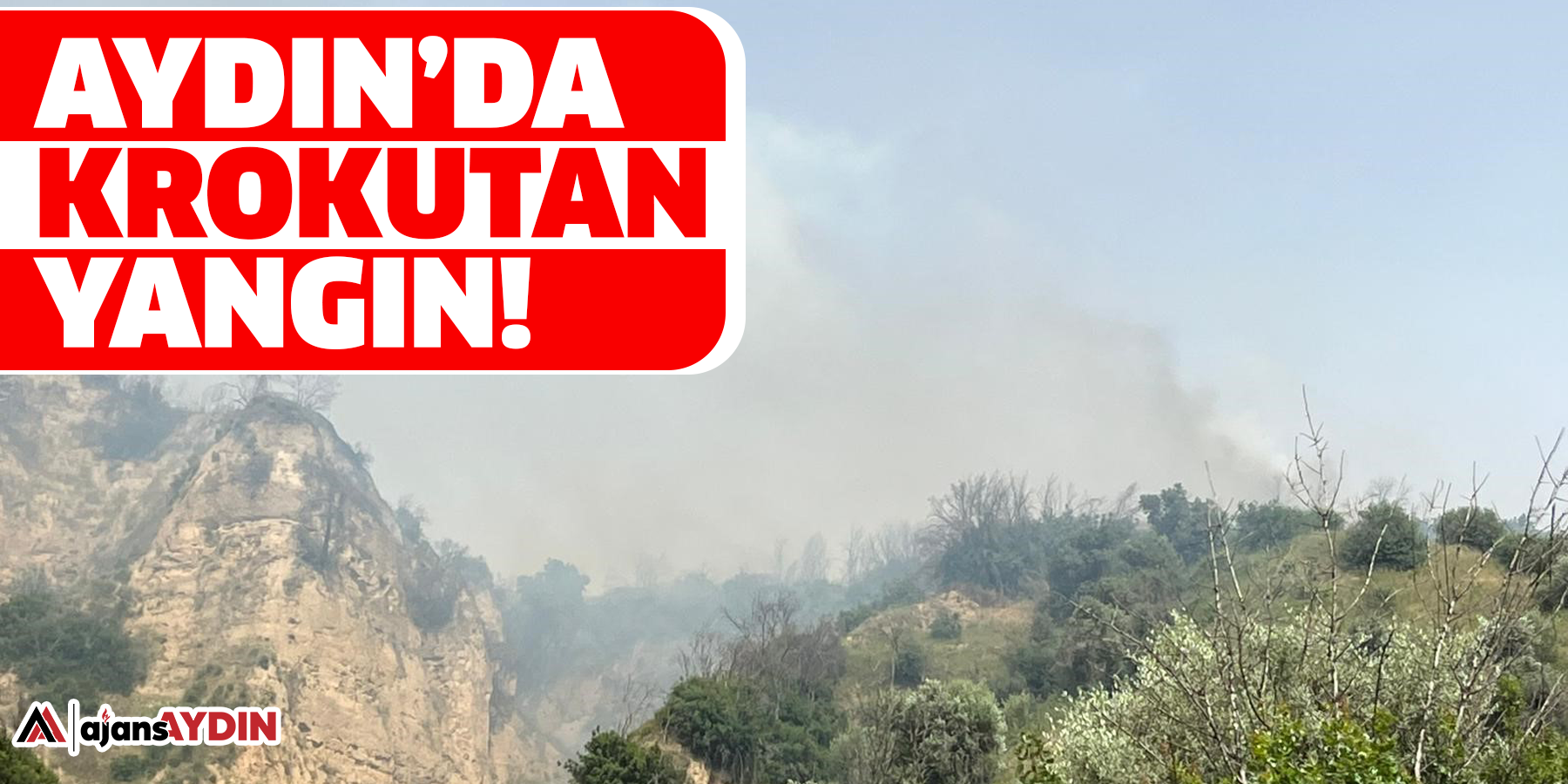 Aydın’da korkutan yangın!