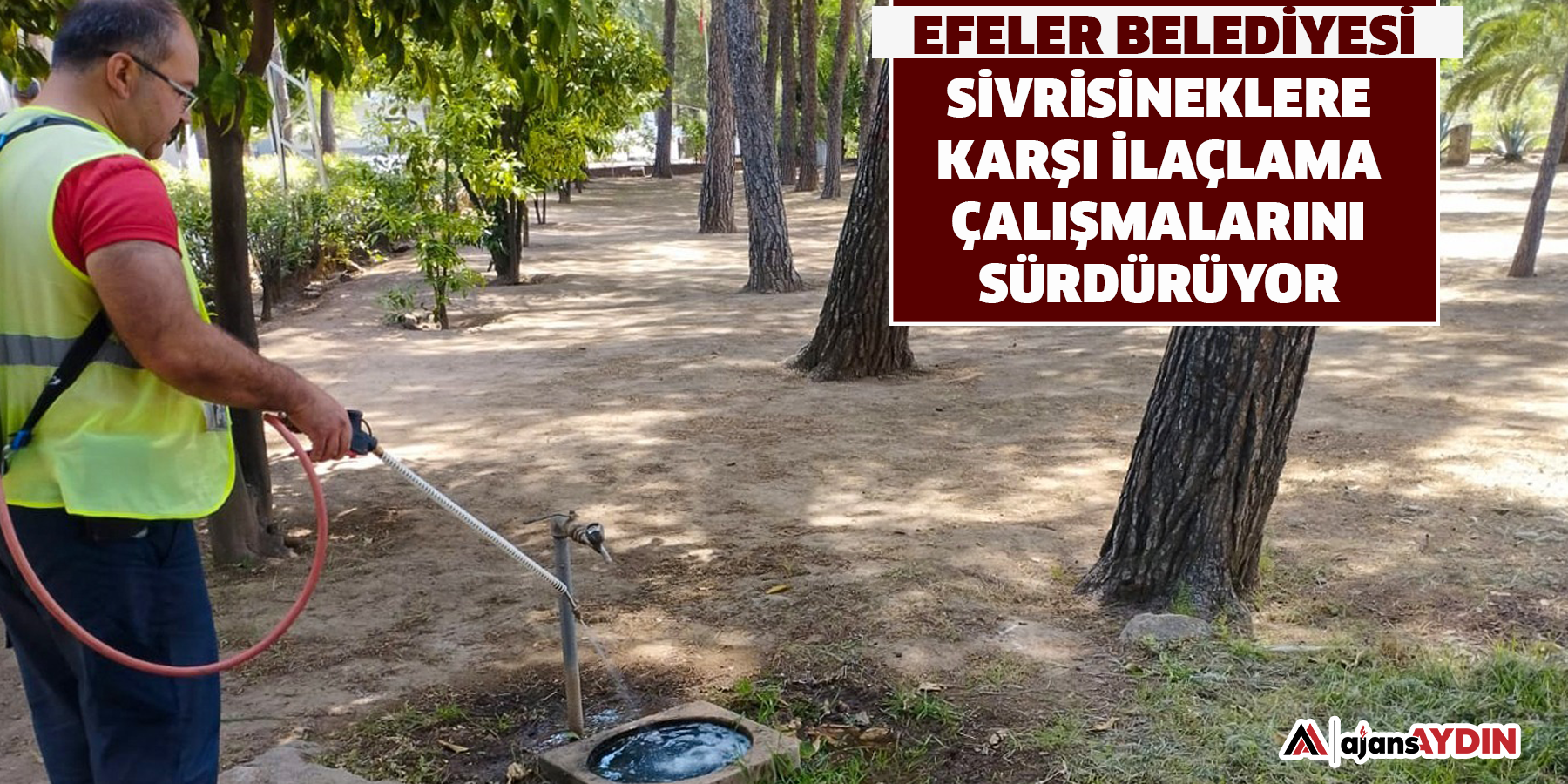 Efeler Belediyesi Sivrisineklere Karşı İlaçlama Çalışmalarını Sürdürüyor