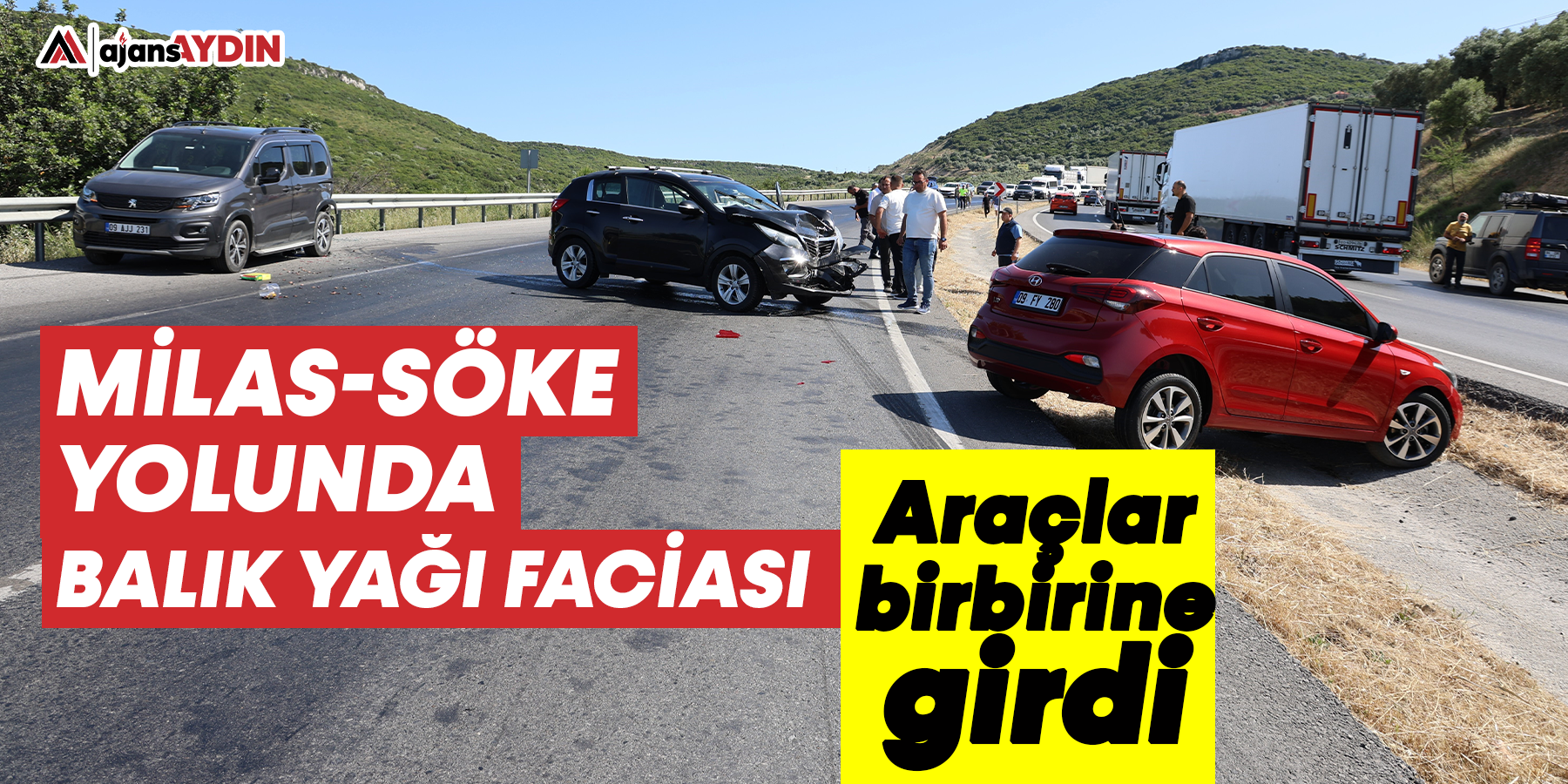 Milas-Söke karayolunda balık yağı faciası