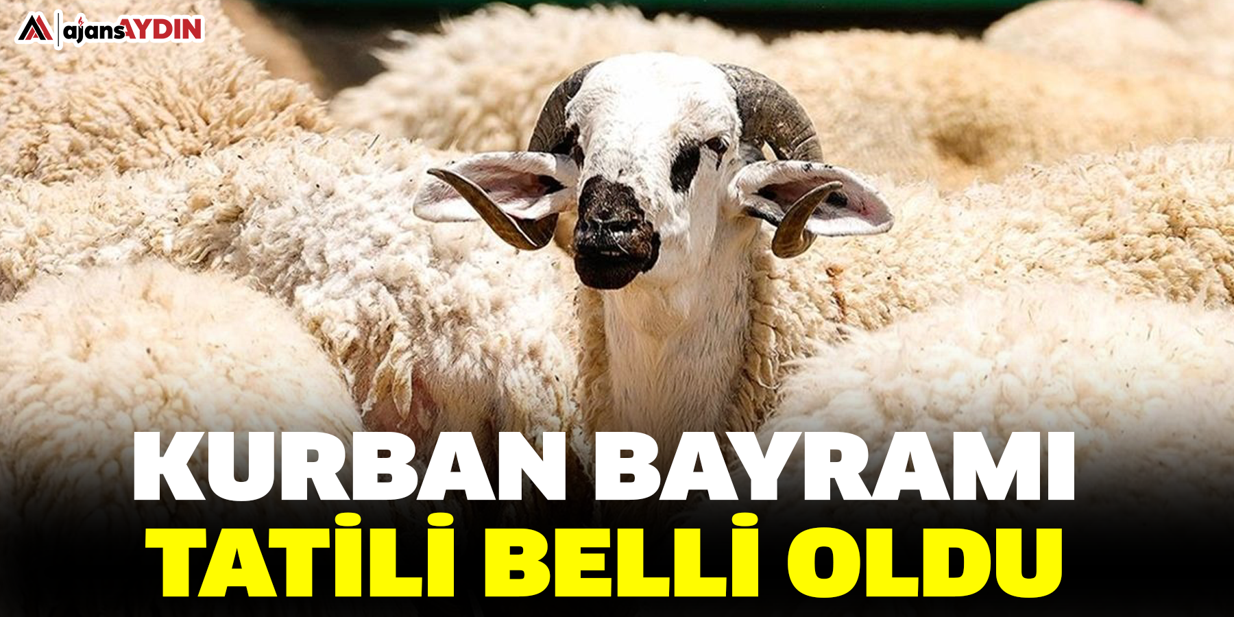 Kurban Bayramı Tatili belli oldu