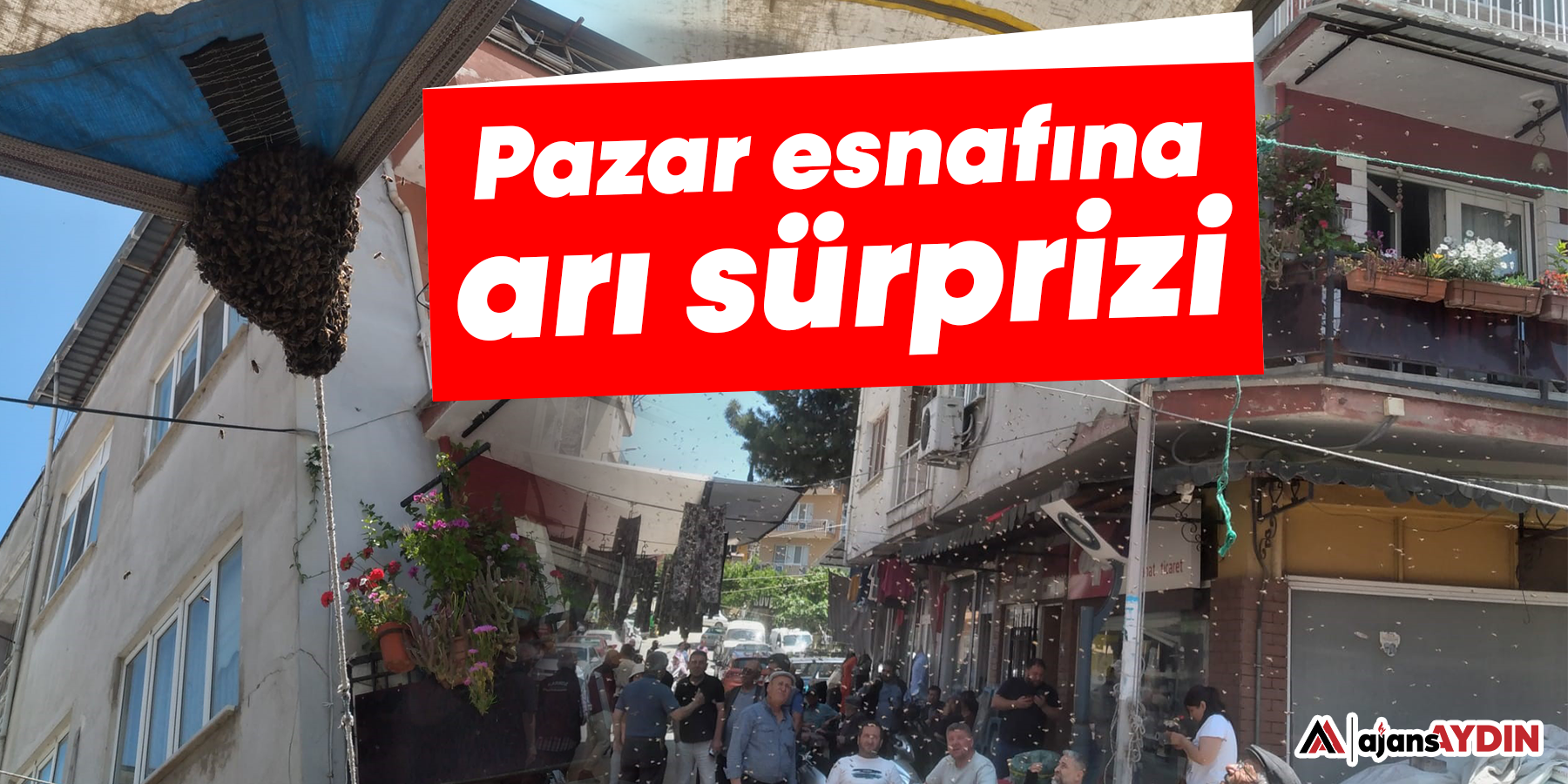 Aydın'da oğul çıkaran arı kolonisi pazar tezgahına kondu