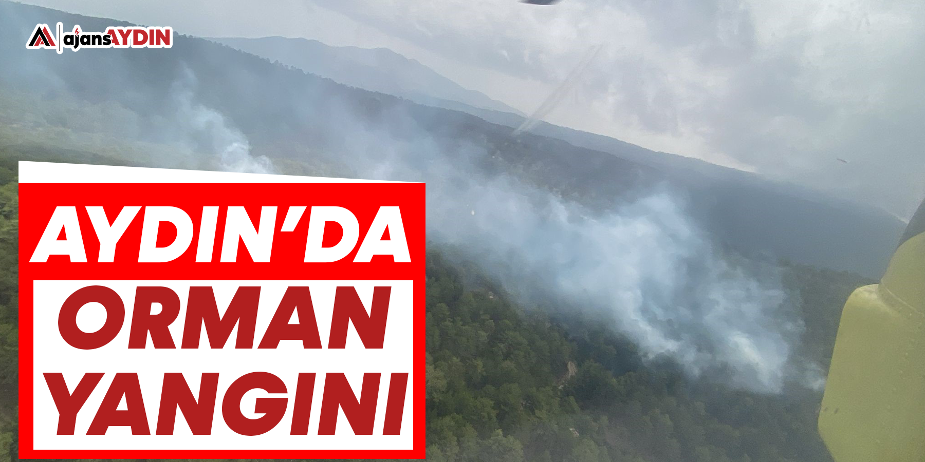 Aydın’da orman yangını