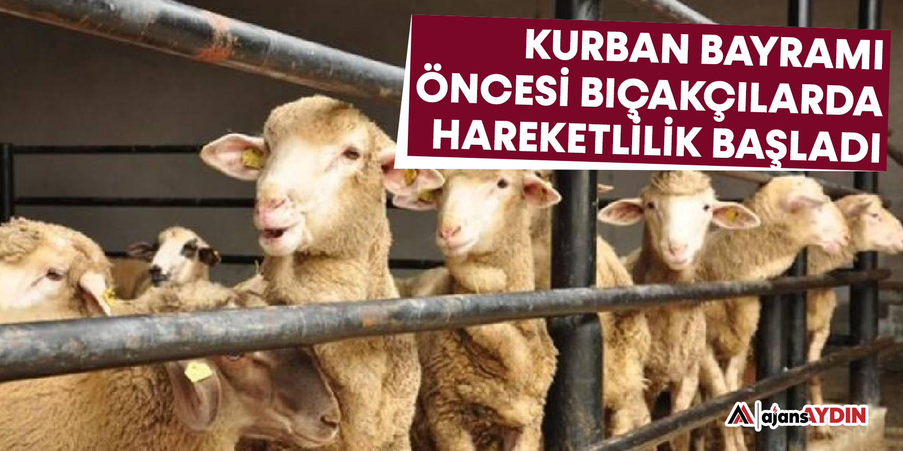 Kurban Bayramı öncesi bıçakçılarda hareketlilik başladı
