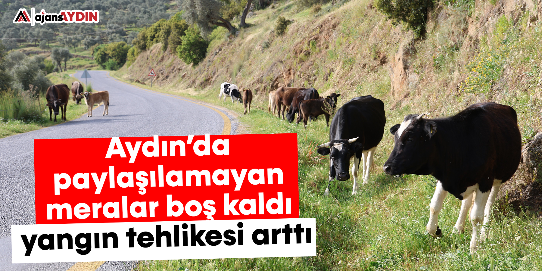 Aydın’da paylaşılamayan meralar boş kaldı, yangın tehlikesi arttı