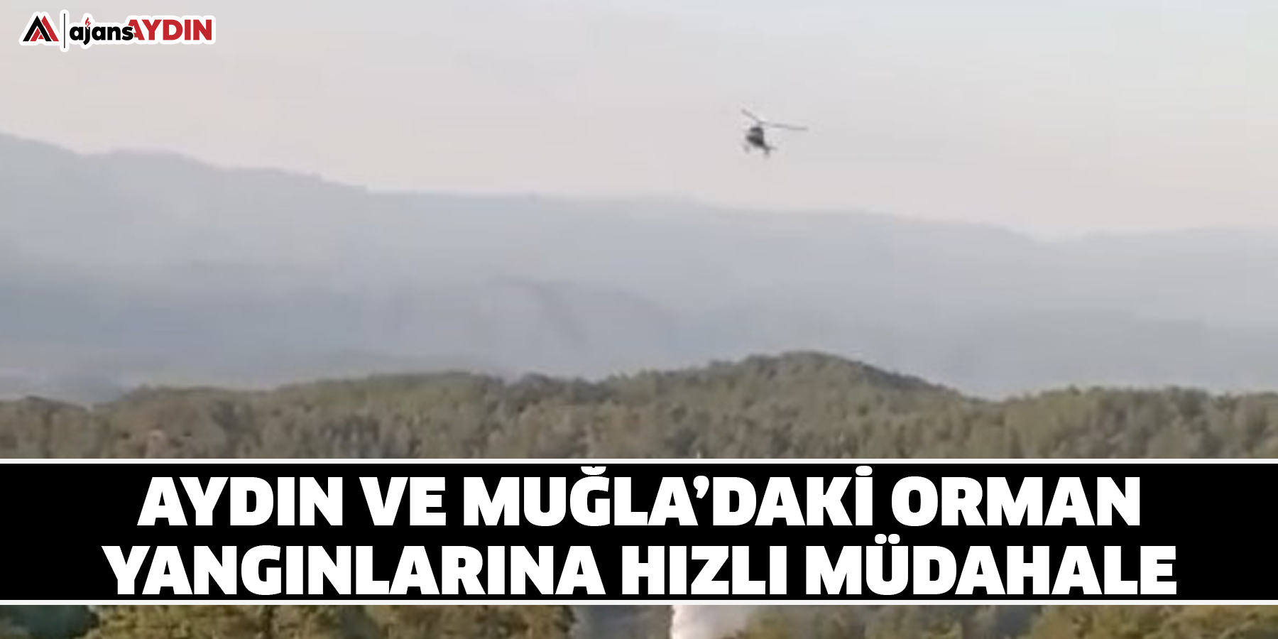 Aydın ve Muğla’daki orman yangınlarına hızlı müdahale