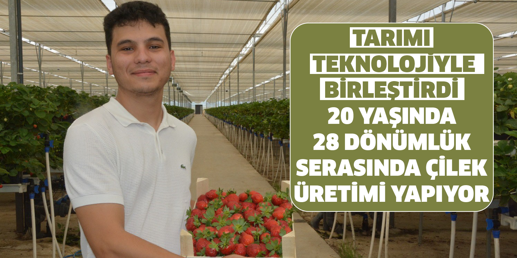 Tarımı, teknolojiyle birleştirdi  20 yaşında 28 dönümlük serasında çilek üretimi yapıyor