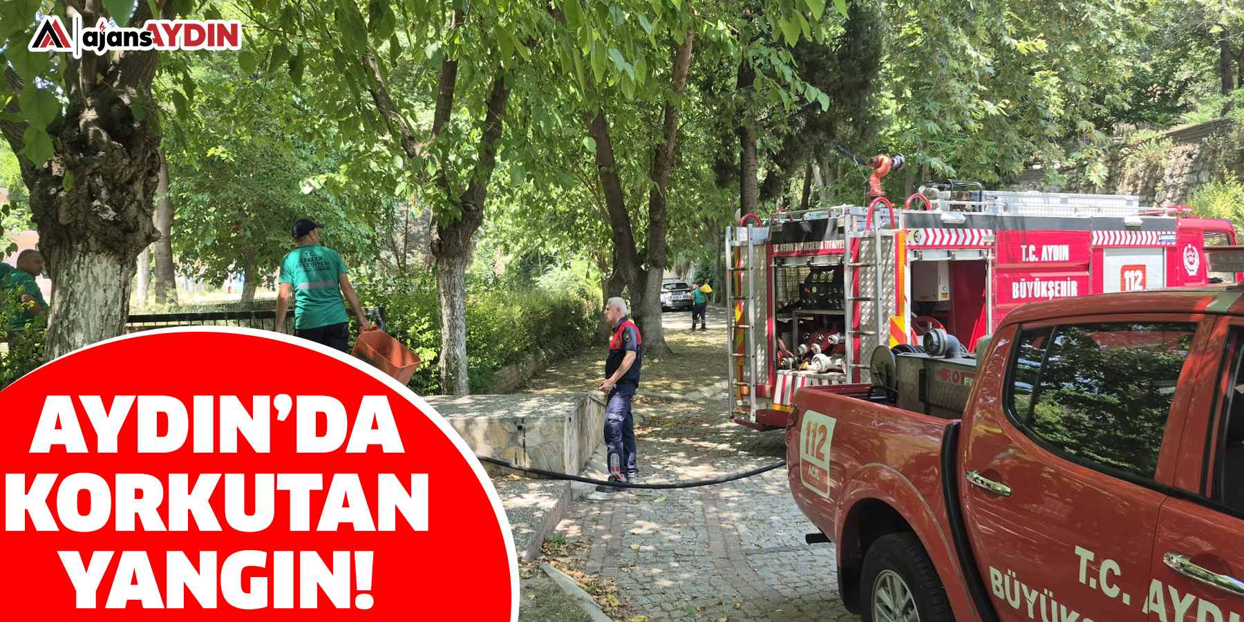 Aydın’da korkutan yangın!