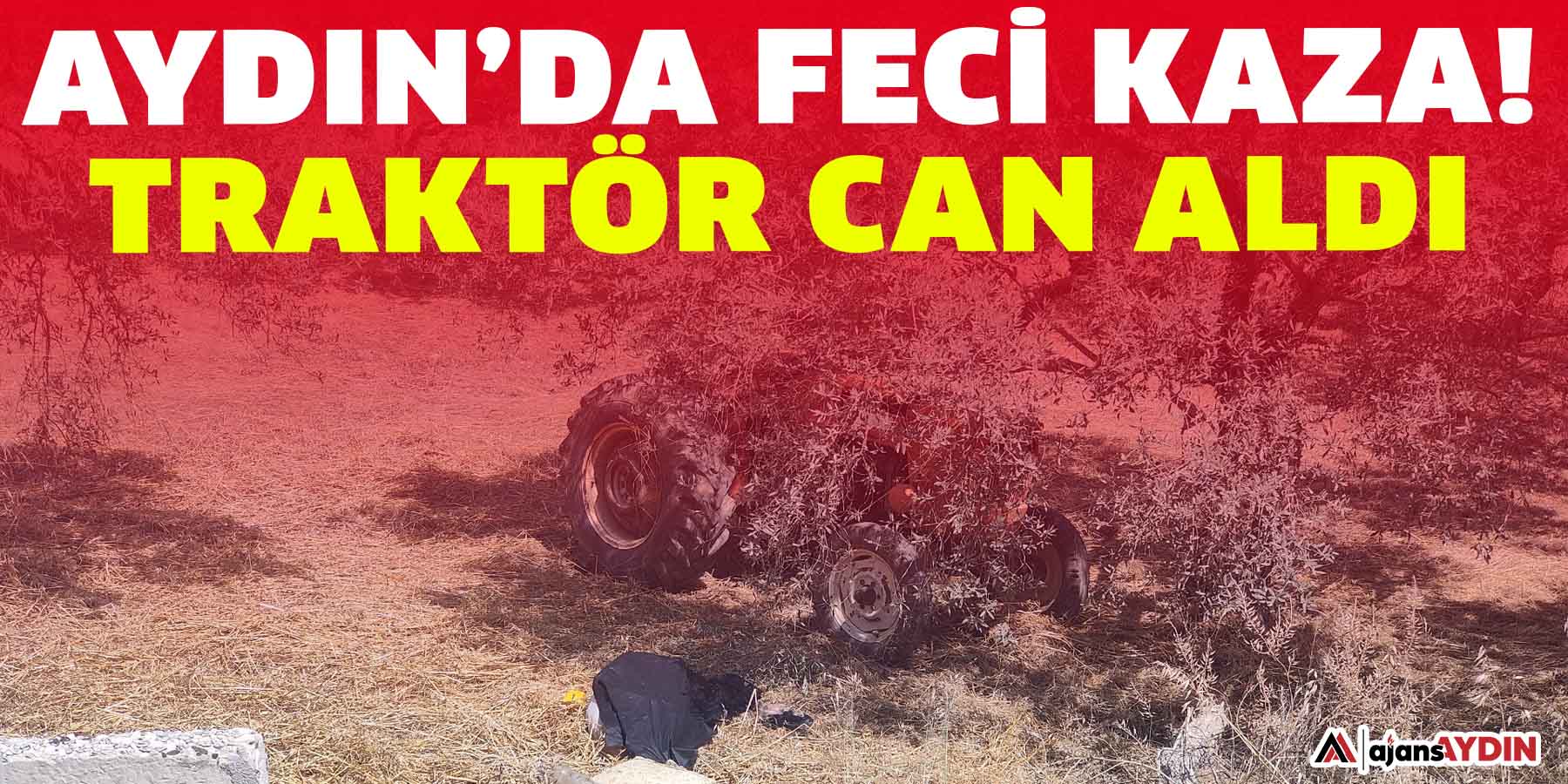 Aydın’da feci kaza!  Traktör can aldı
