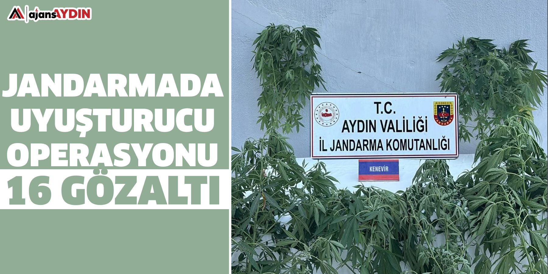 Jandarmada uyuşturucu operasyonu: 16 gözaltı