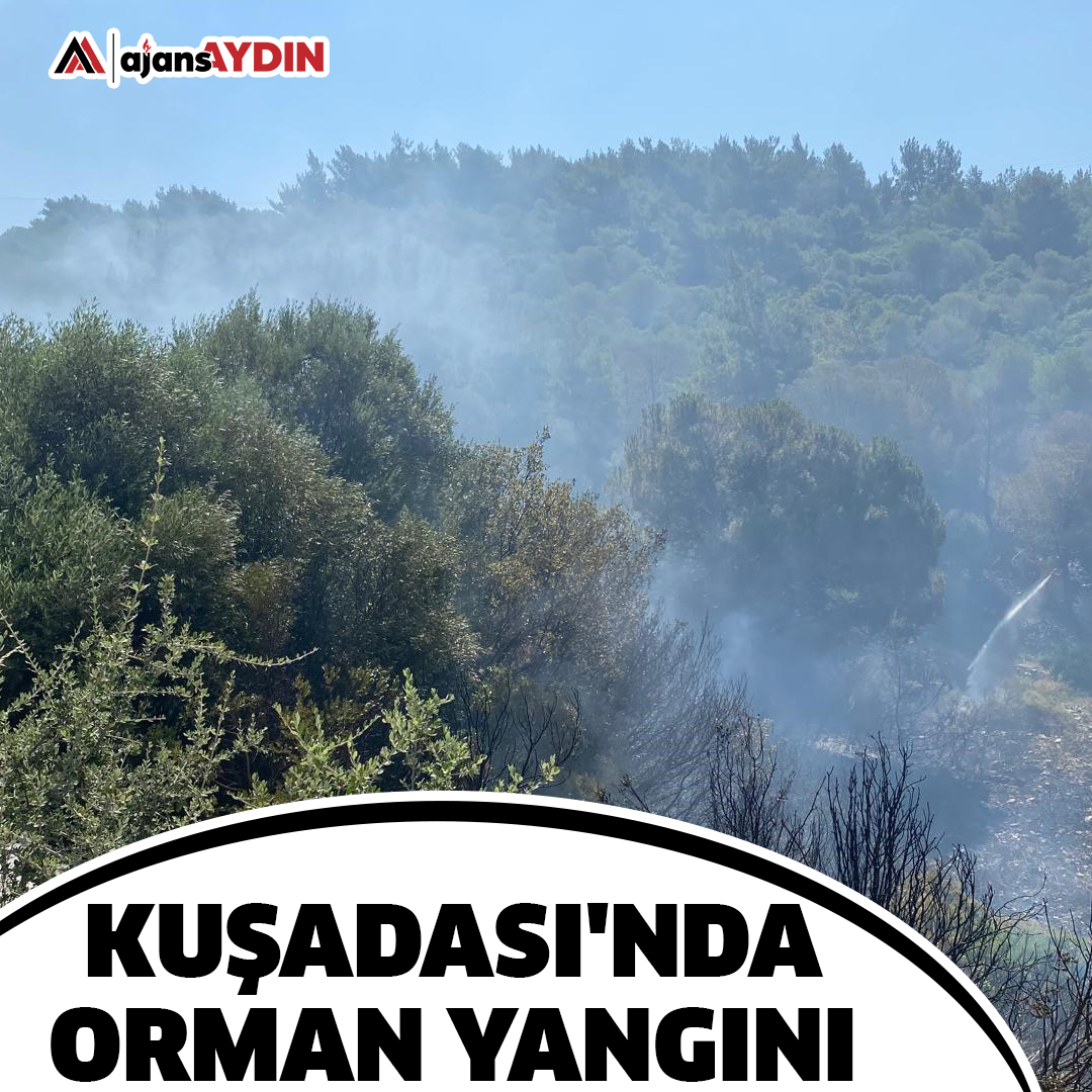 Kuşadası'nda orman yangını
