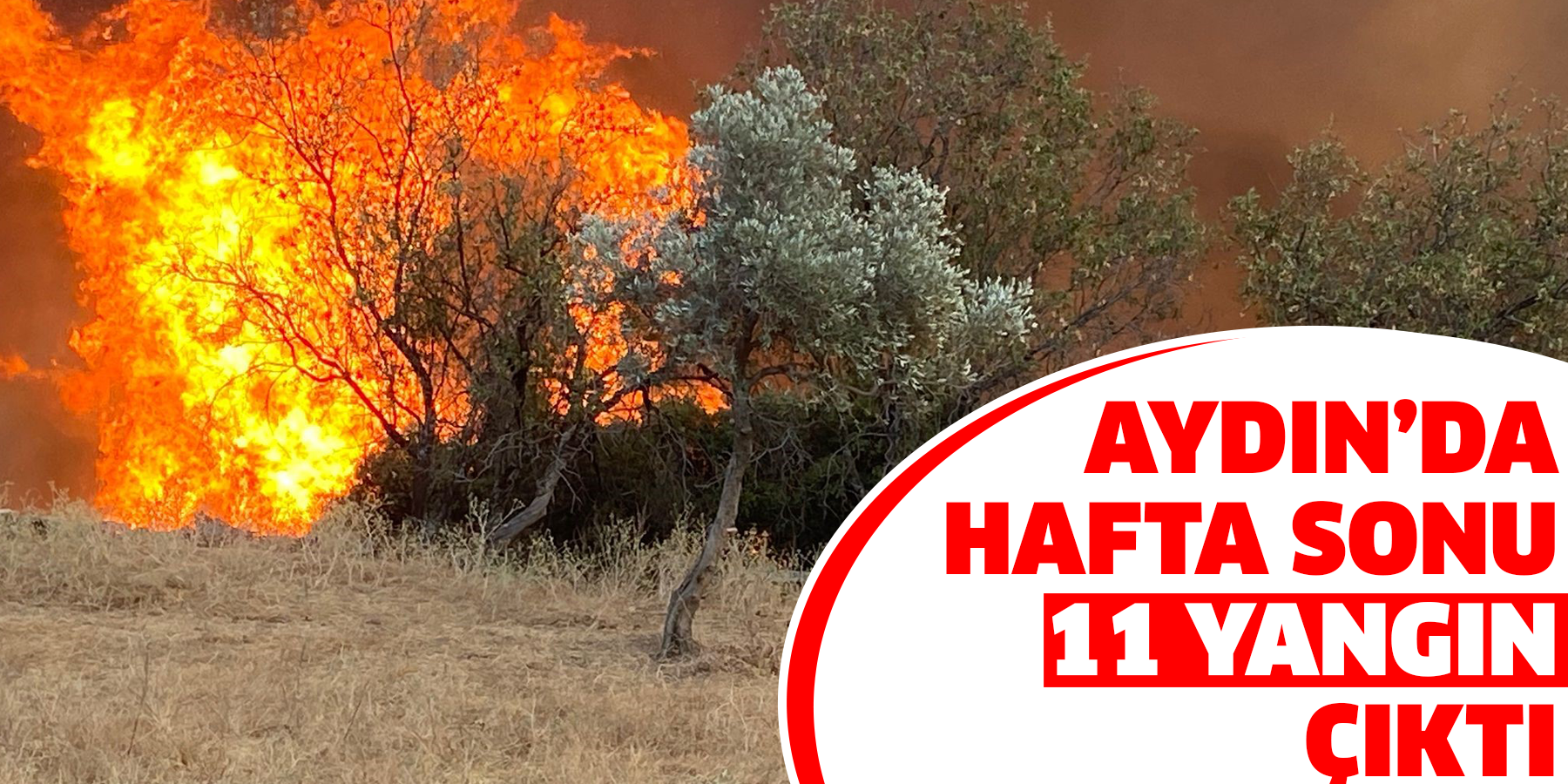 Aydın’da hafta sonu 11 yangın çıktı