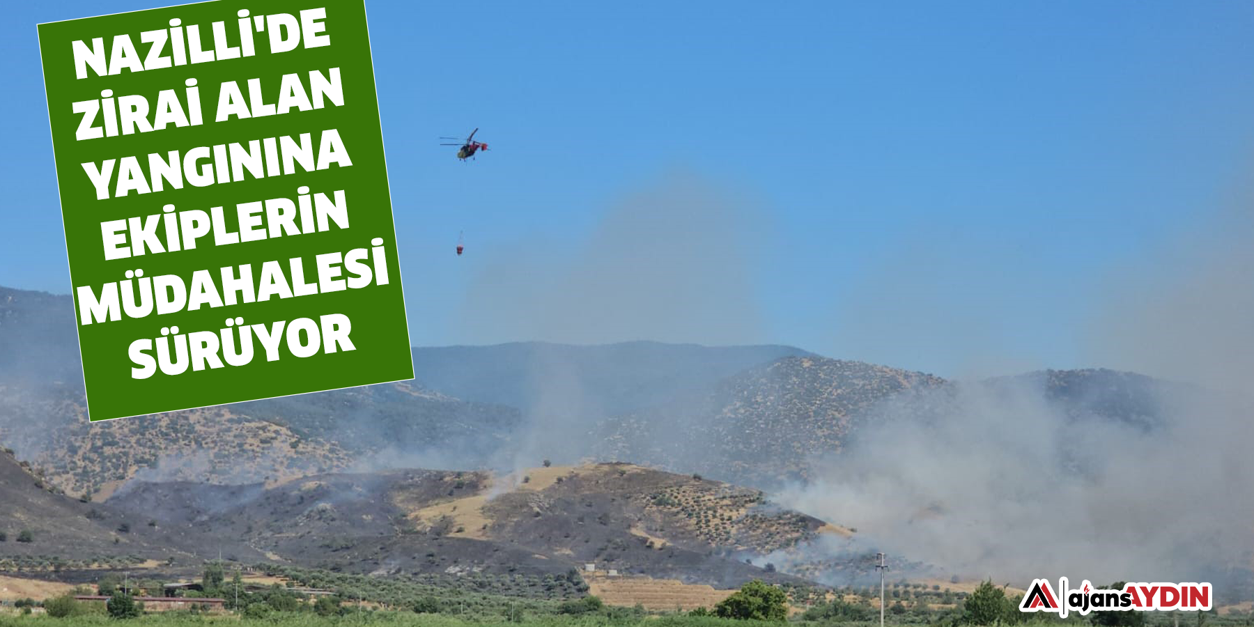 Nazilli'de zirai alan yangınına ekiplerin müdahalesi sürüyor