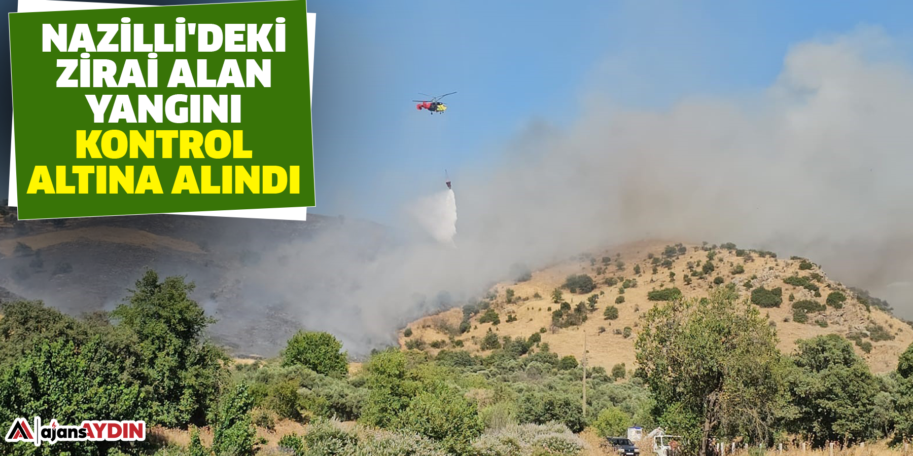 Nazilli'deki zirai alan yangını kontrol altına alındı