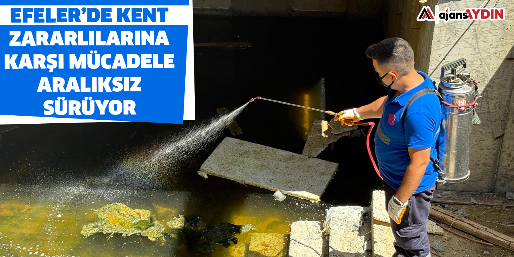 Efeler’de Kent Zararlılarına Karşı Mücadele Aralıksız Sürüyor