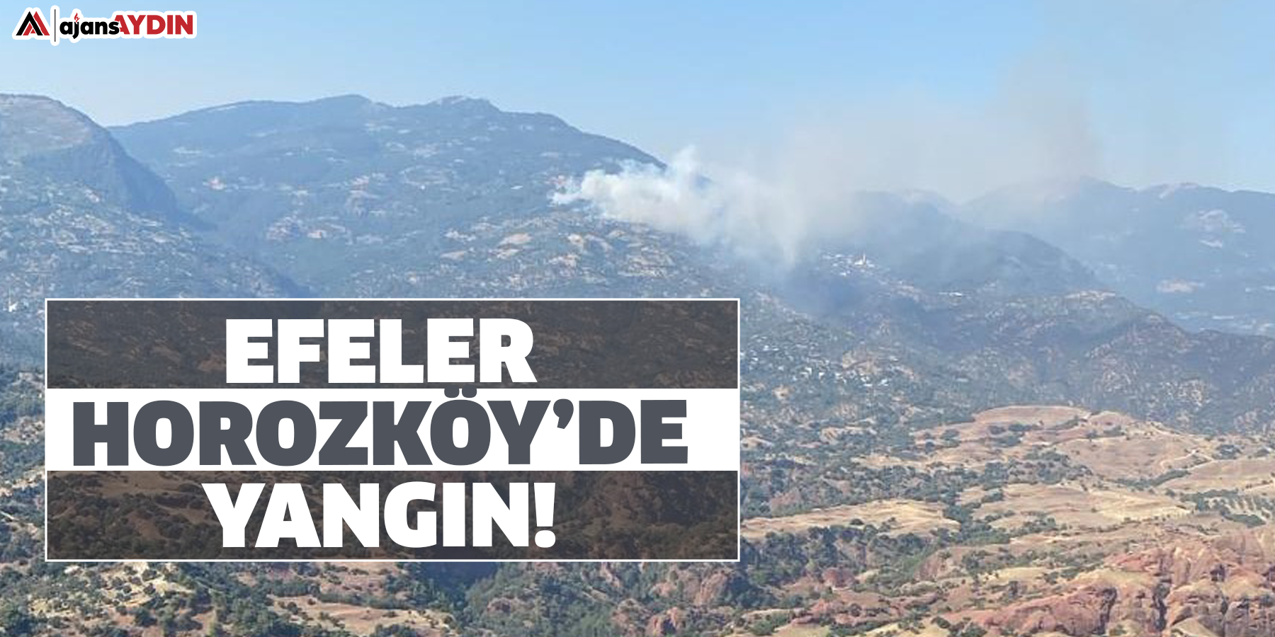 Efeler Horozköy’de yangın