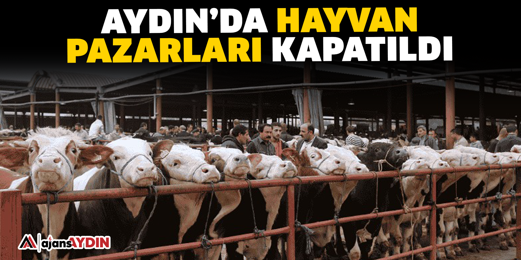 Aydın’da hayvan pazarları kapatıldı