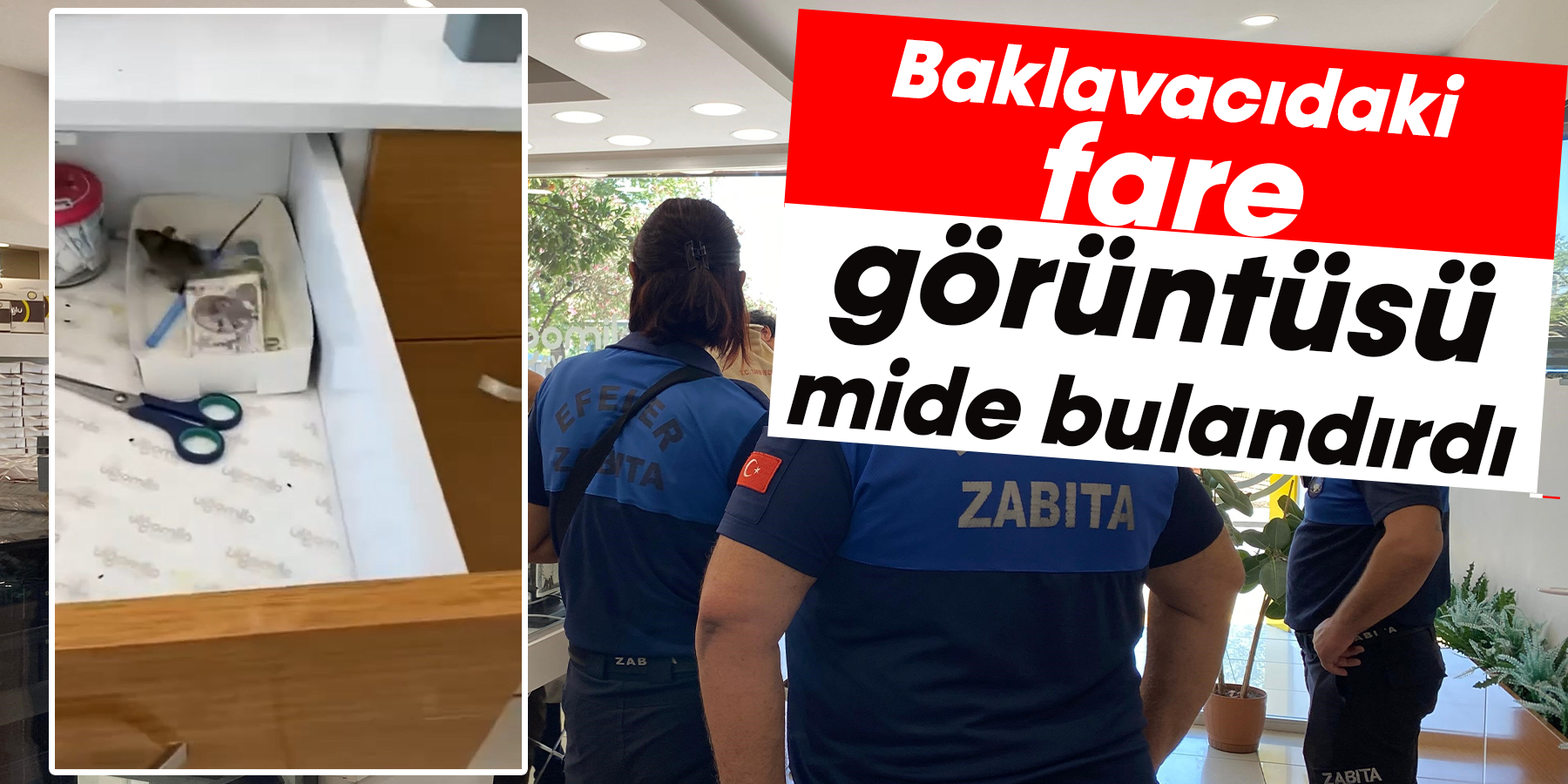 Baklavacıdaki fare görüntüsü mide bulandırdı