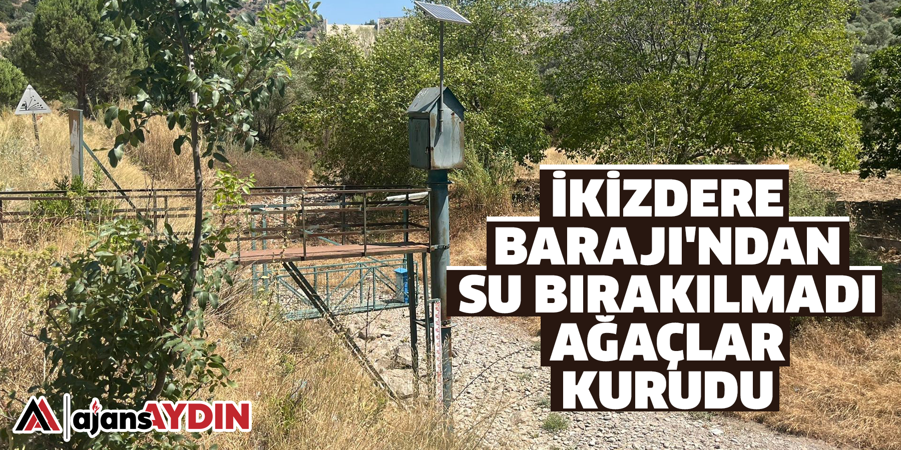 İkizdere Barajı'ndan su bırakılmadı, ağaçlar kurudu
