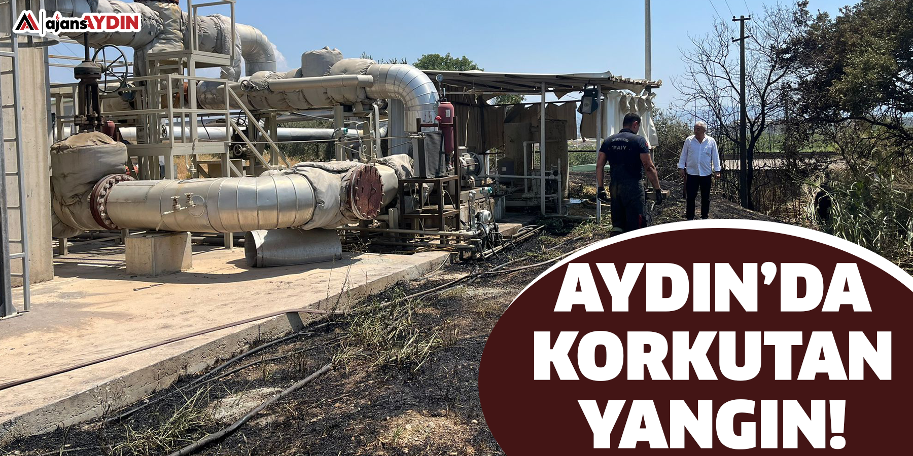 Aydın’da korkutan yangın!