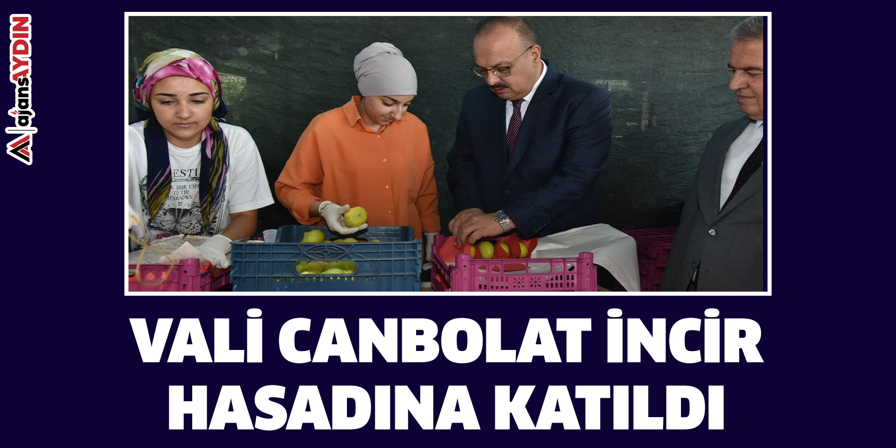 Vali Canbolat incir hasadına katıldı