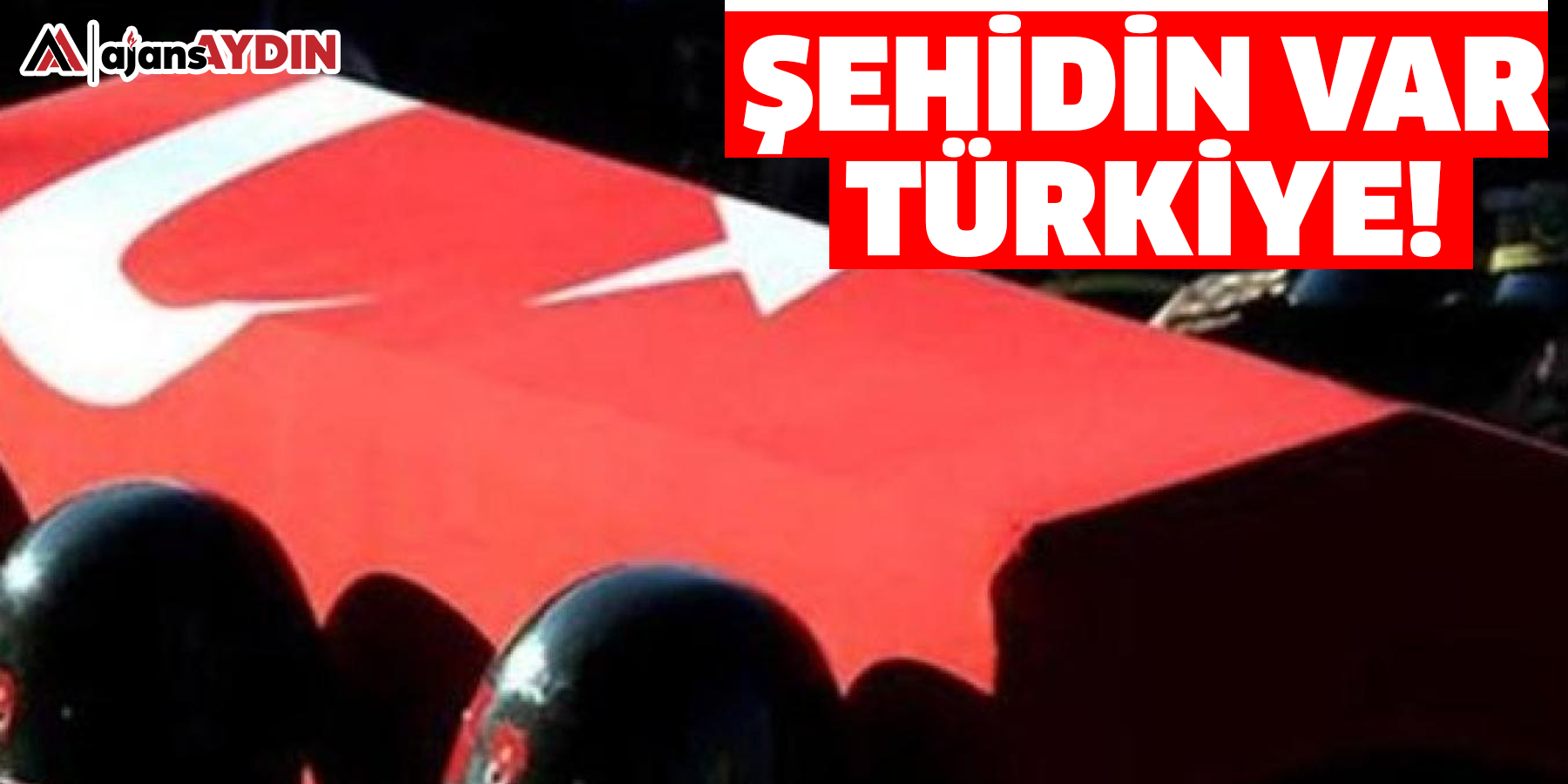 Şehidin var Türkiye
