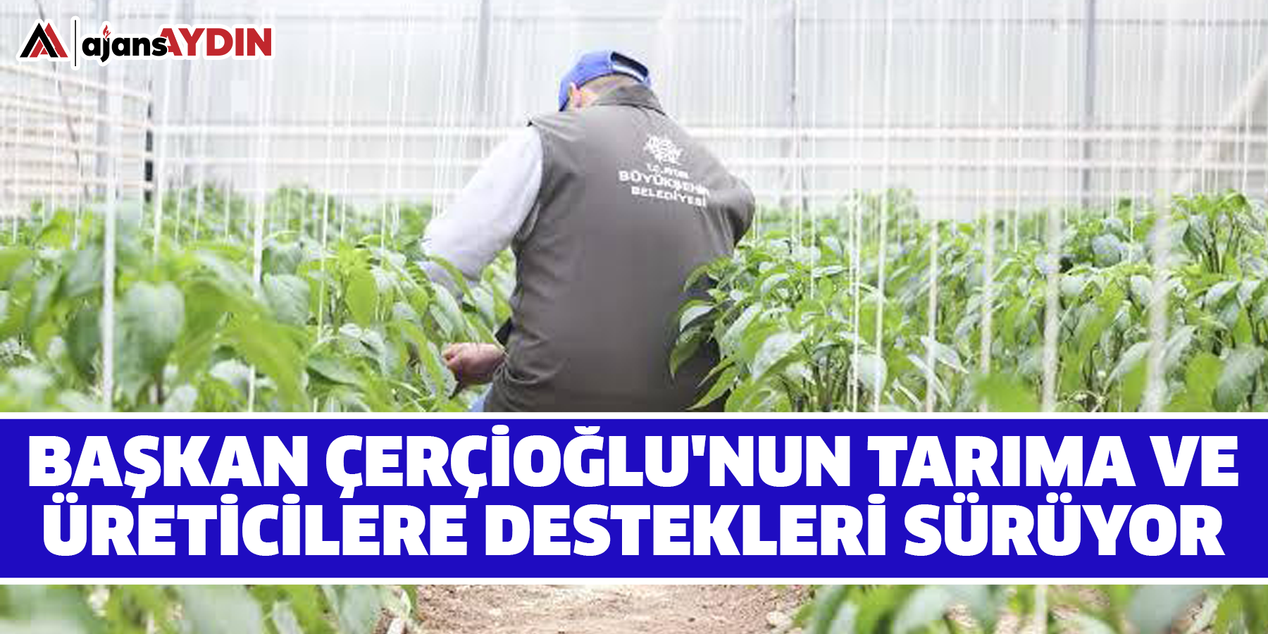 Başkan Çerçioğlu'nun Tarıma Ve Üreticilere Destekleri Sürüyor
