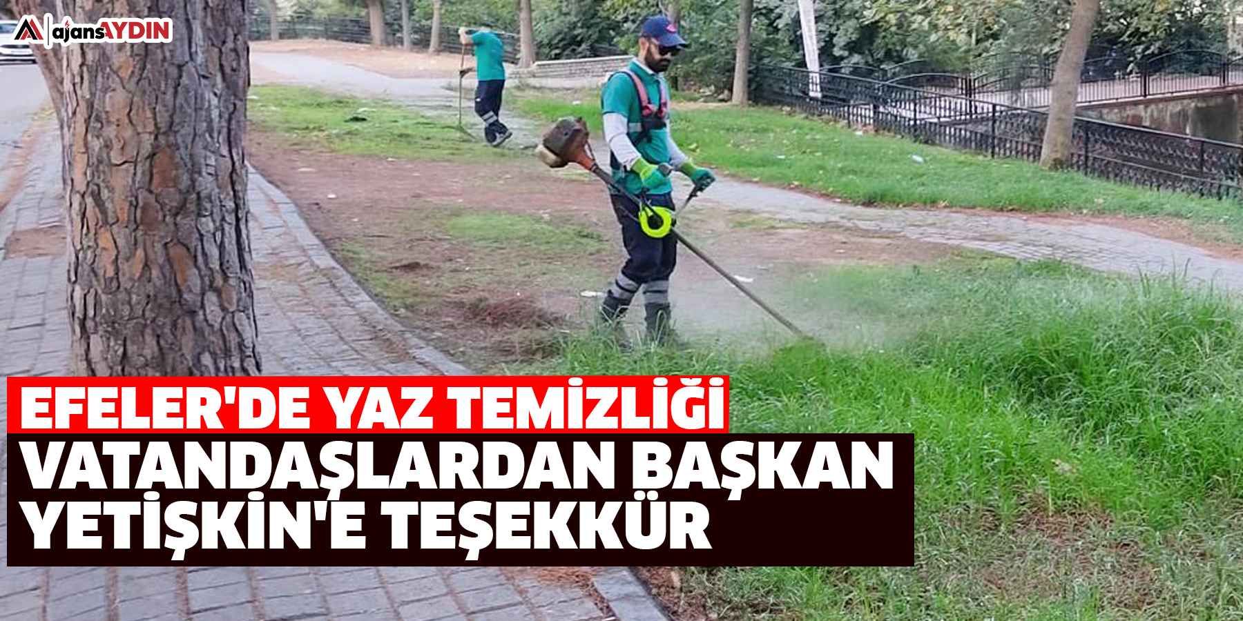 Efeler'de Yaz Temizliği Hız Kesmiyor: Vatandaşlardan Başkan Yetişkin'e Teşekkür
