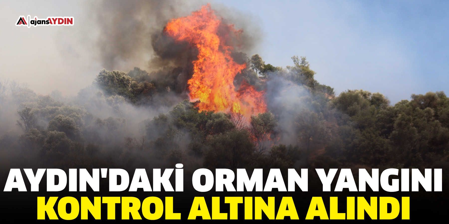 Aydın'daki orman yangını kontrol altına alındı