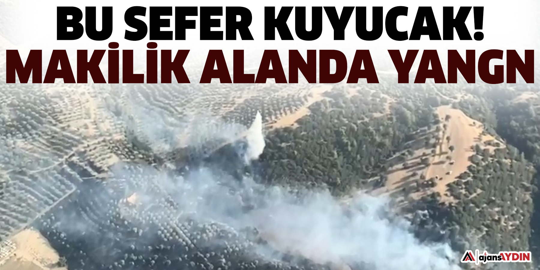 Kuyucak’ta zirai alan ve makilik yangını