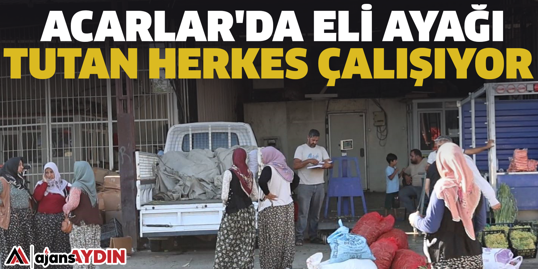 Acarlar'da eli ayağı tutan herkes çalışıyor
