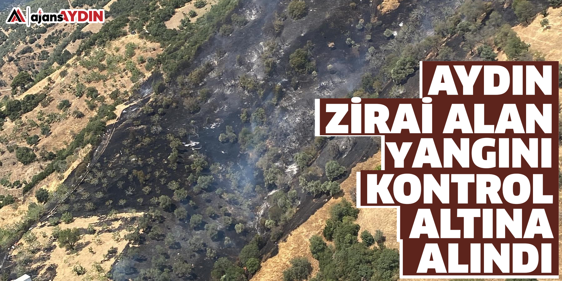 Aydın zirai alan yangını kontrol altına alındı