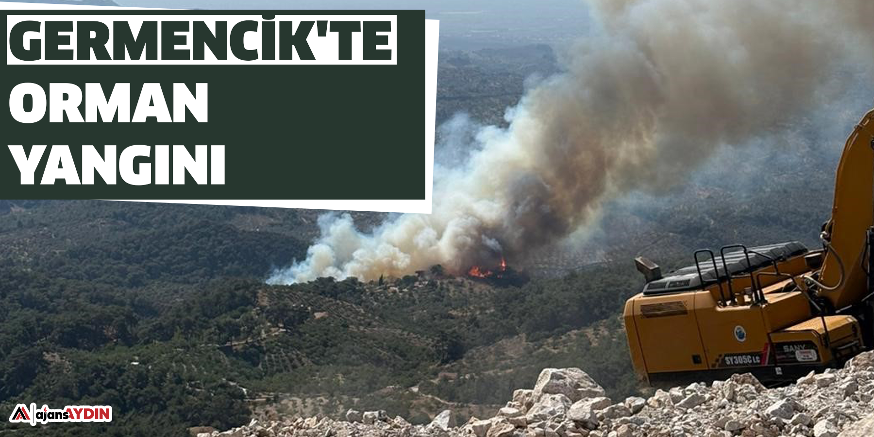 Germencik'te orman yangını