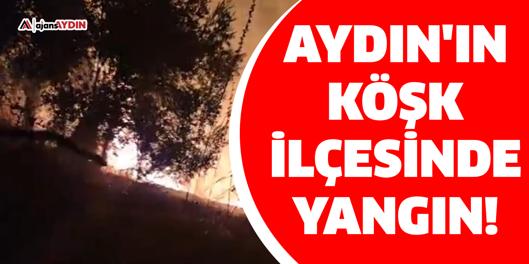 Aydın'da yangın!