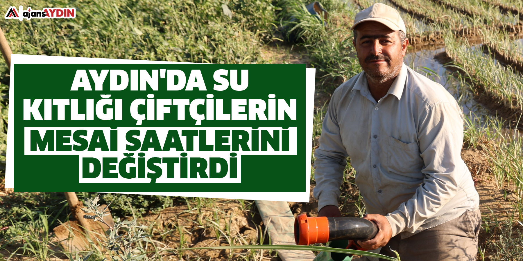 Aydın'da su kıtlığı çiftçilerin mesai saatlerini değiştirdi