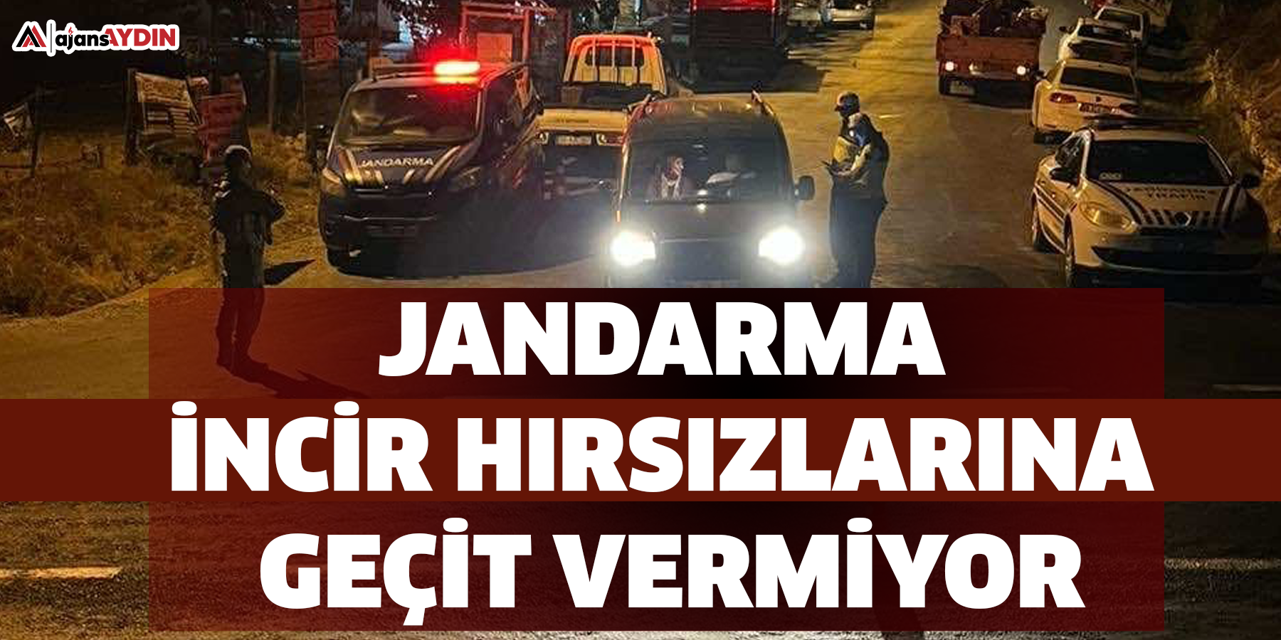 Jandarma incir hırsızlarına geçit vermiyor