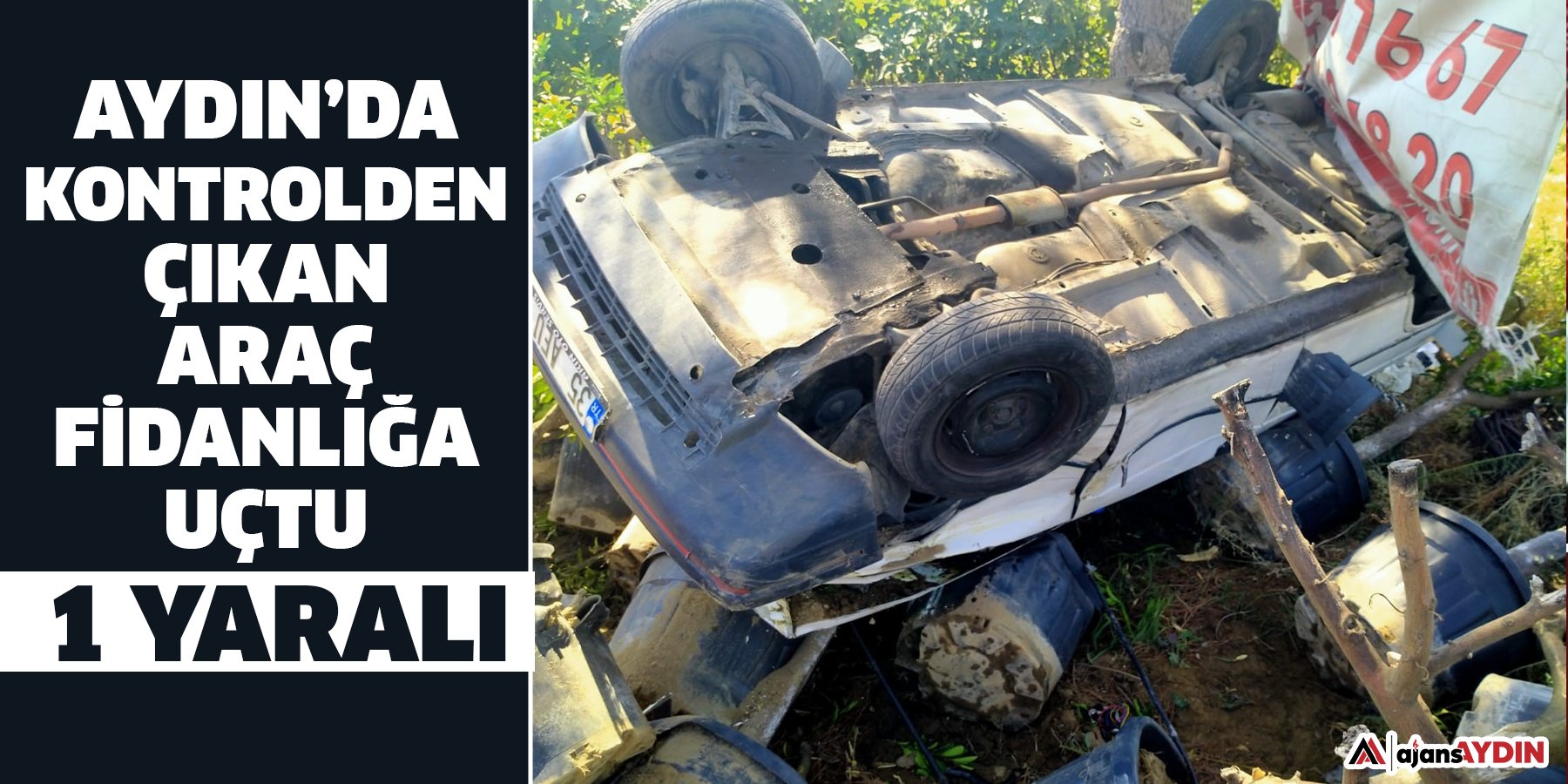 Aydın’da kontrolden çıkan araç fidanlığa uçtu: 1 yaralı