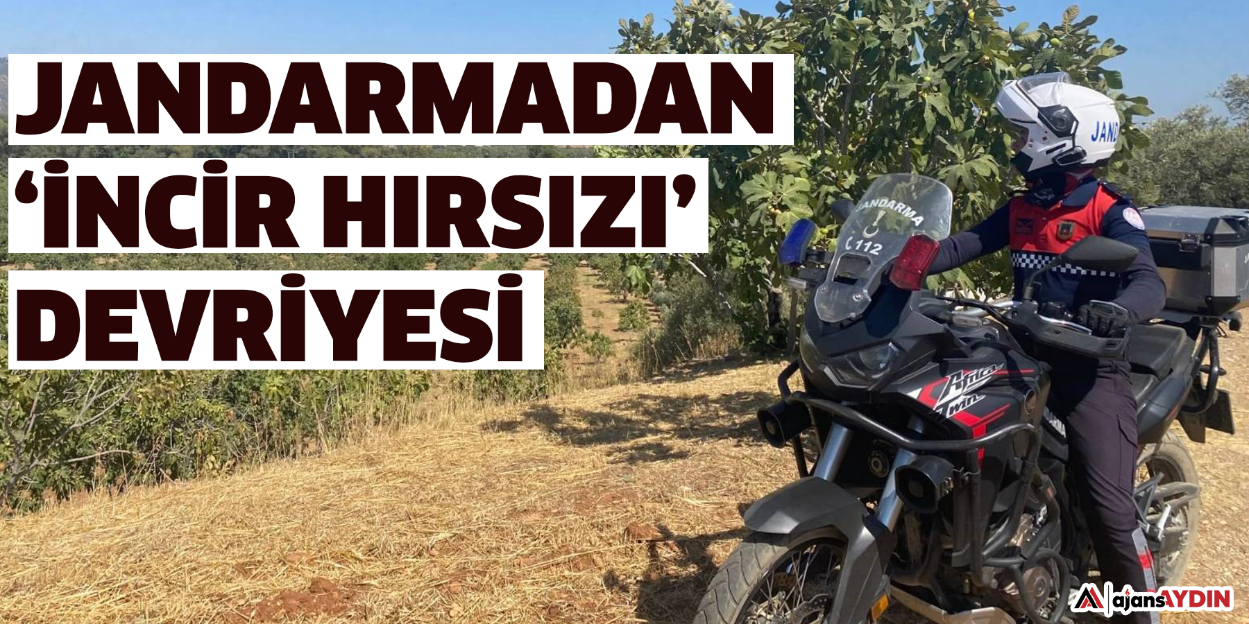Jandarmadan ‘incir hırsızı’ devriyesi