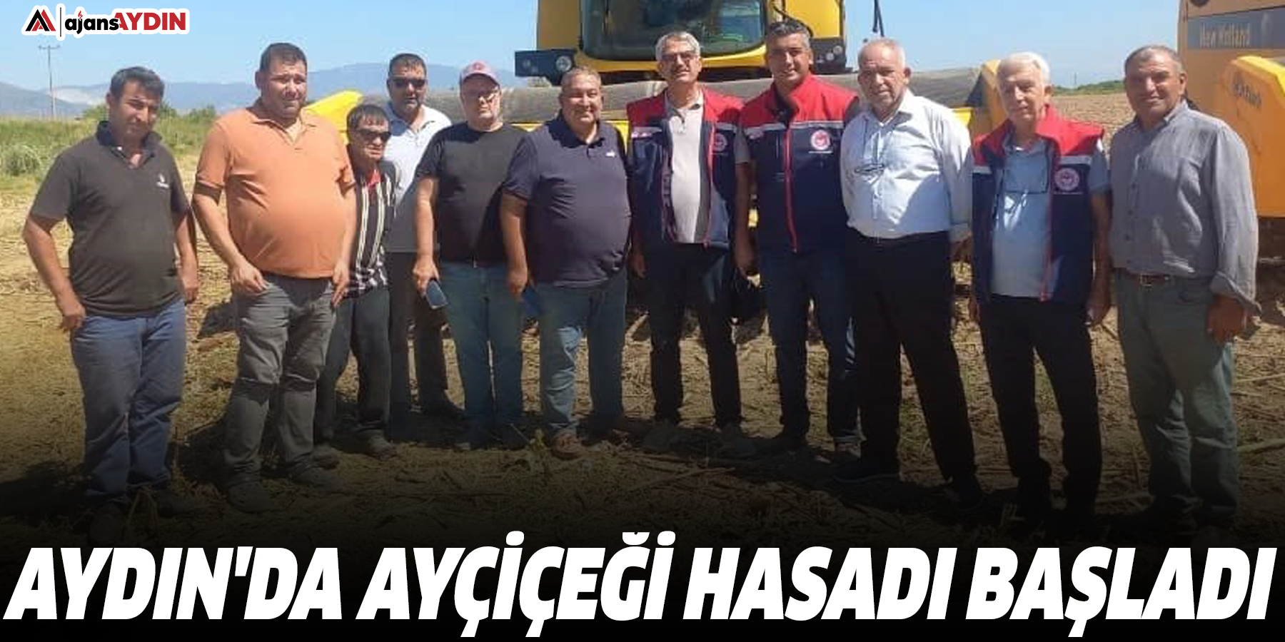 Aydın'da ayçiçeği hasadı başladı