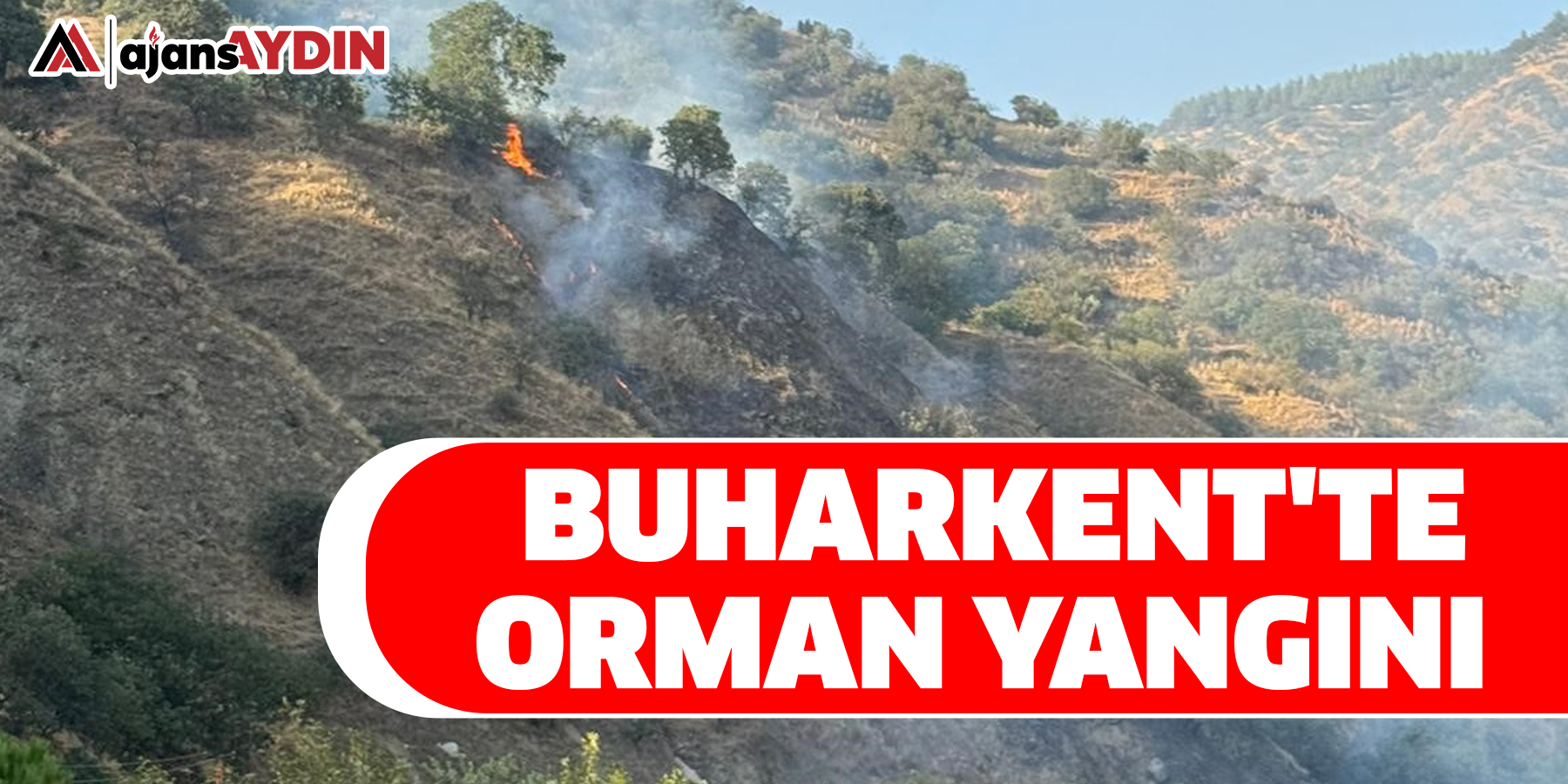 Buharkent'te orman yangını